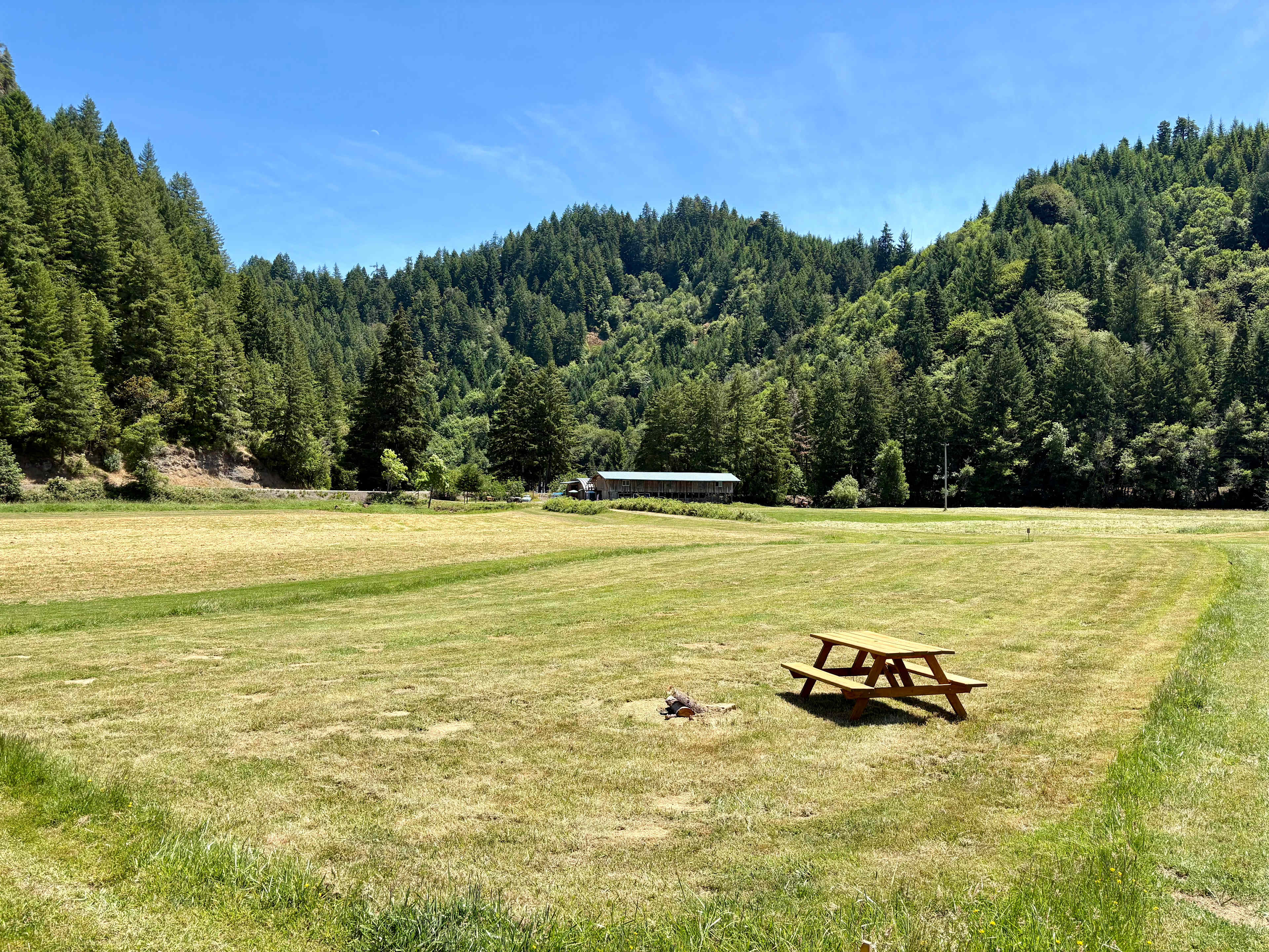 Picture of the site