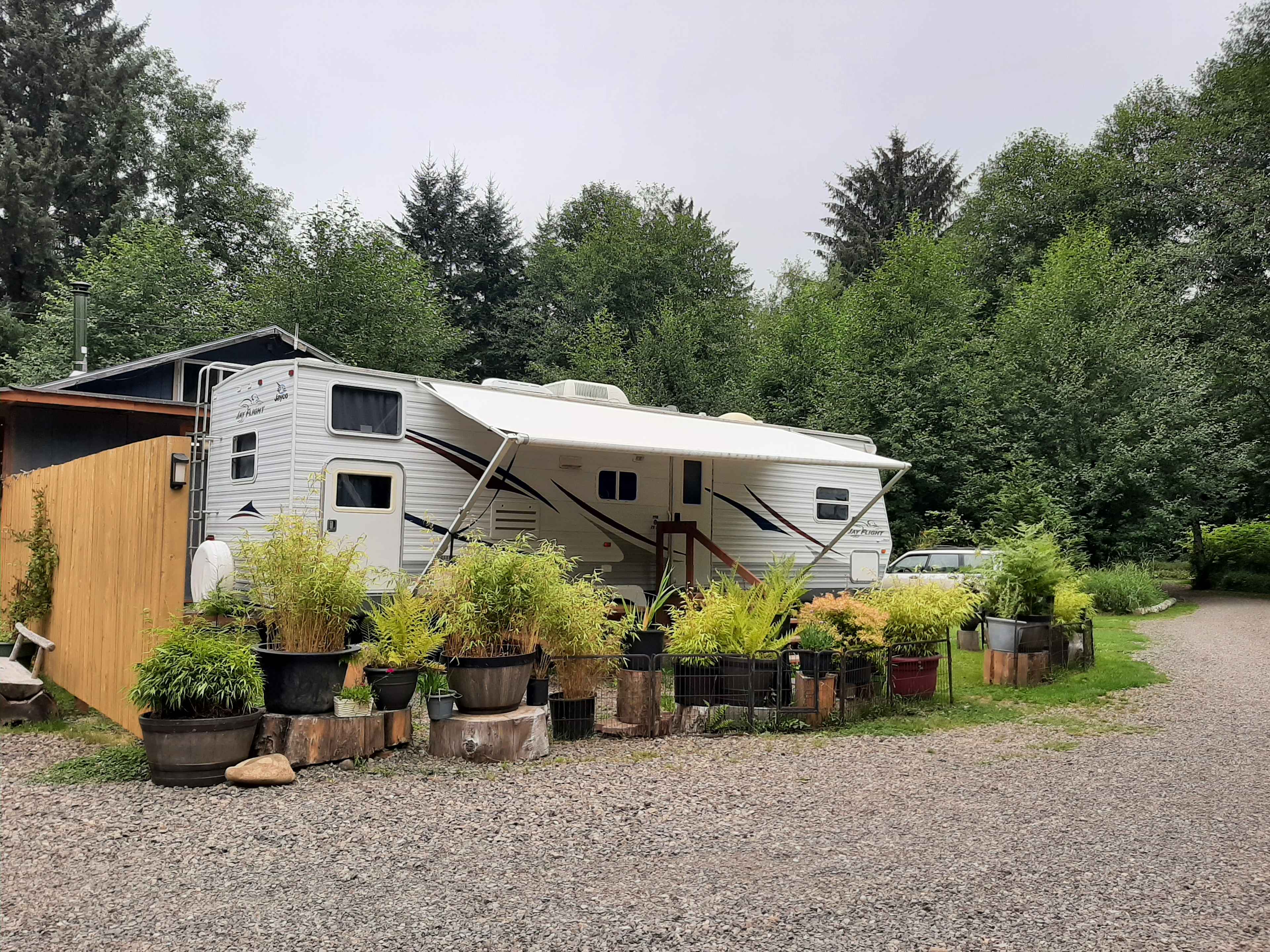 Picture of the site