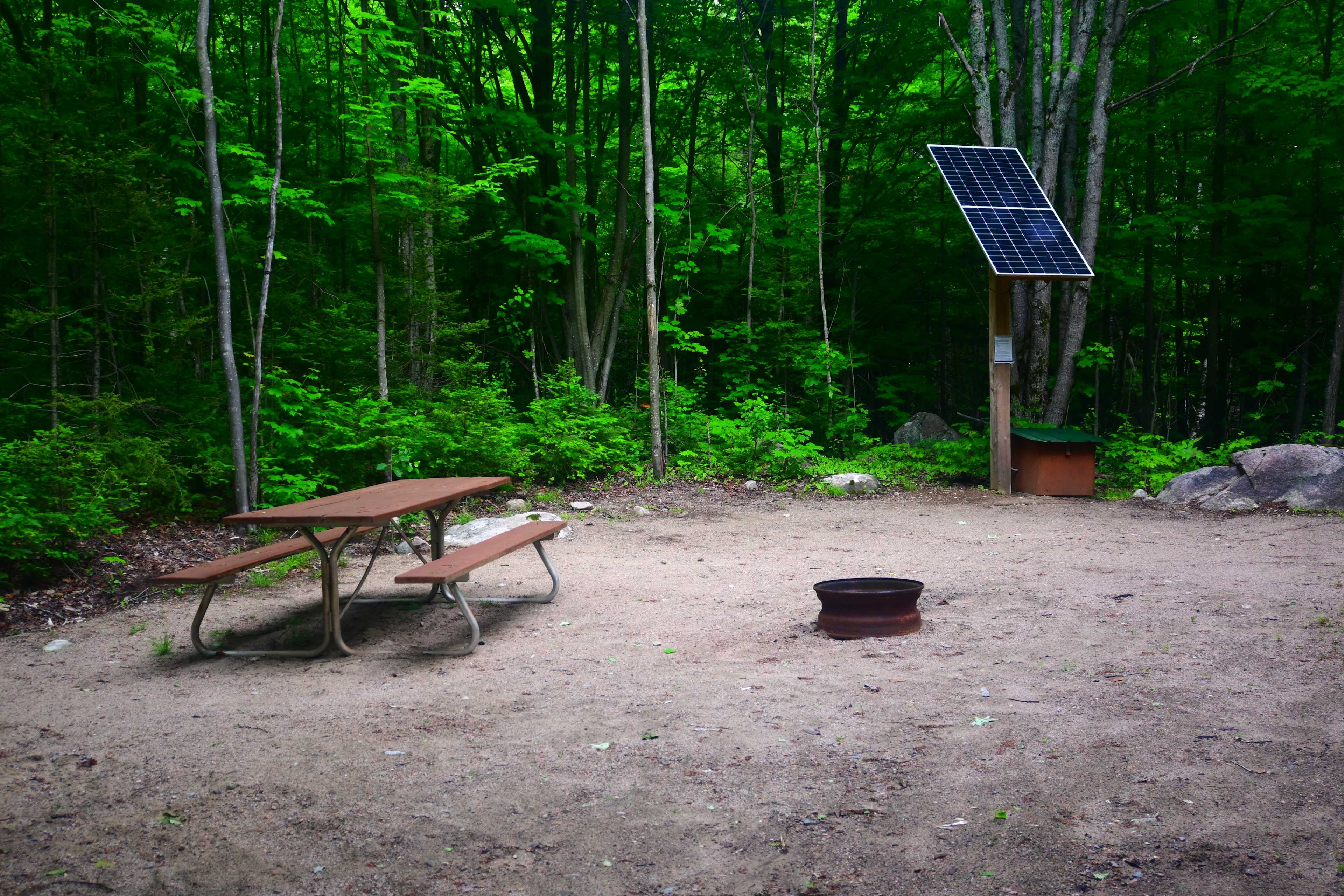 Picture of the site