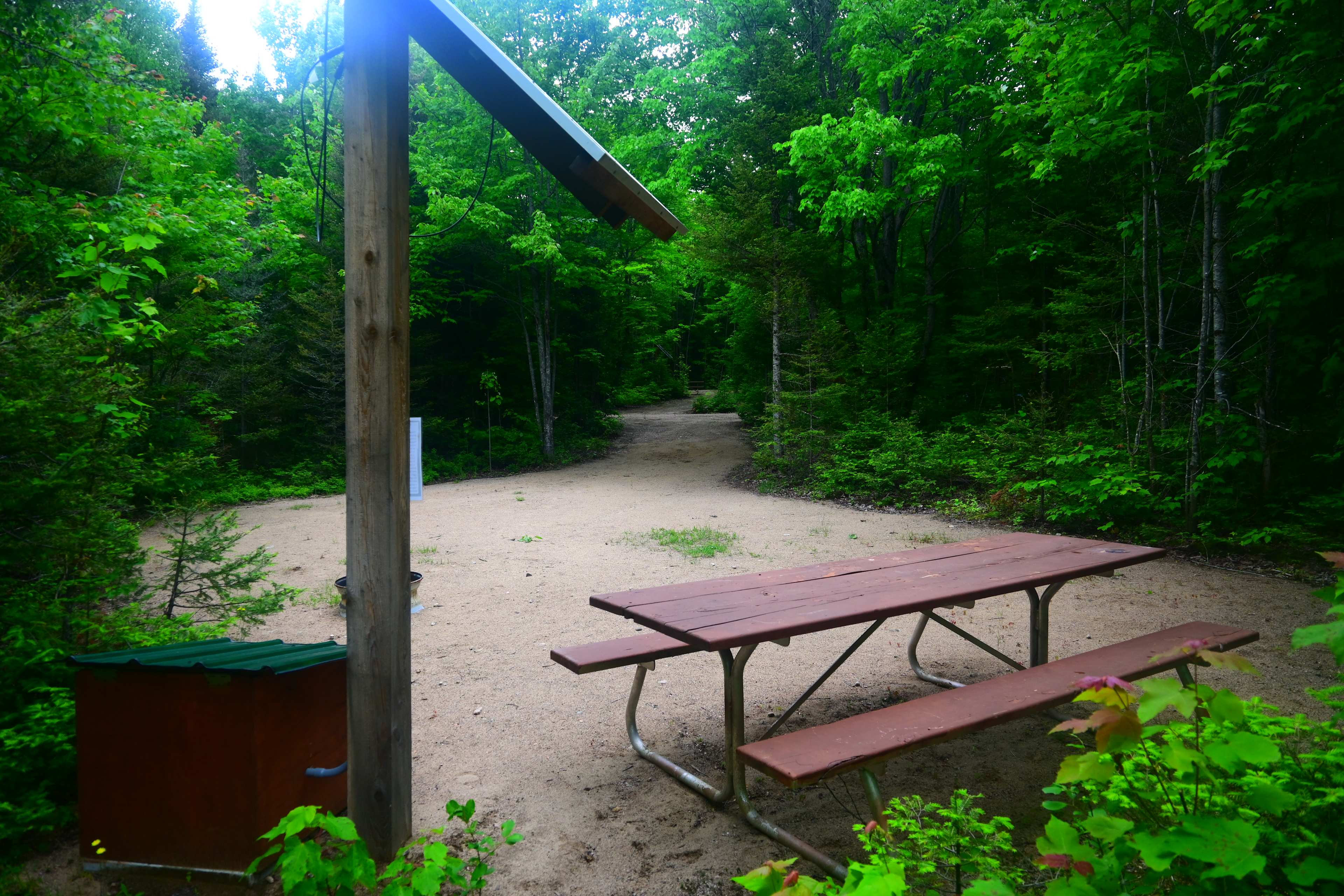 Picture of the site