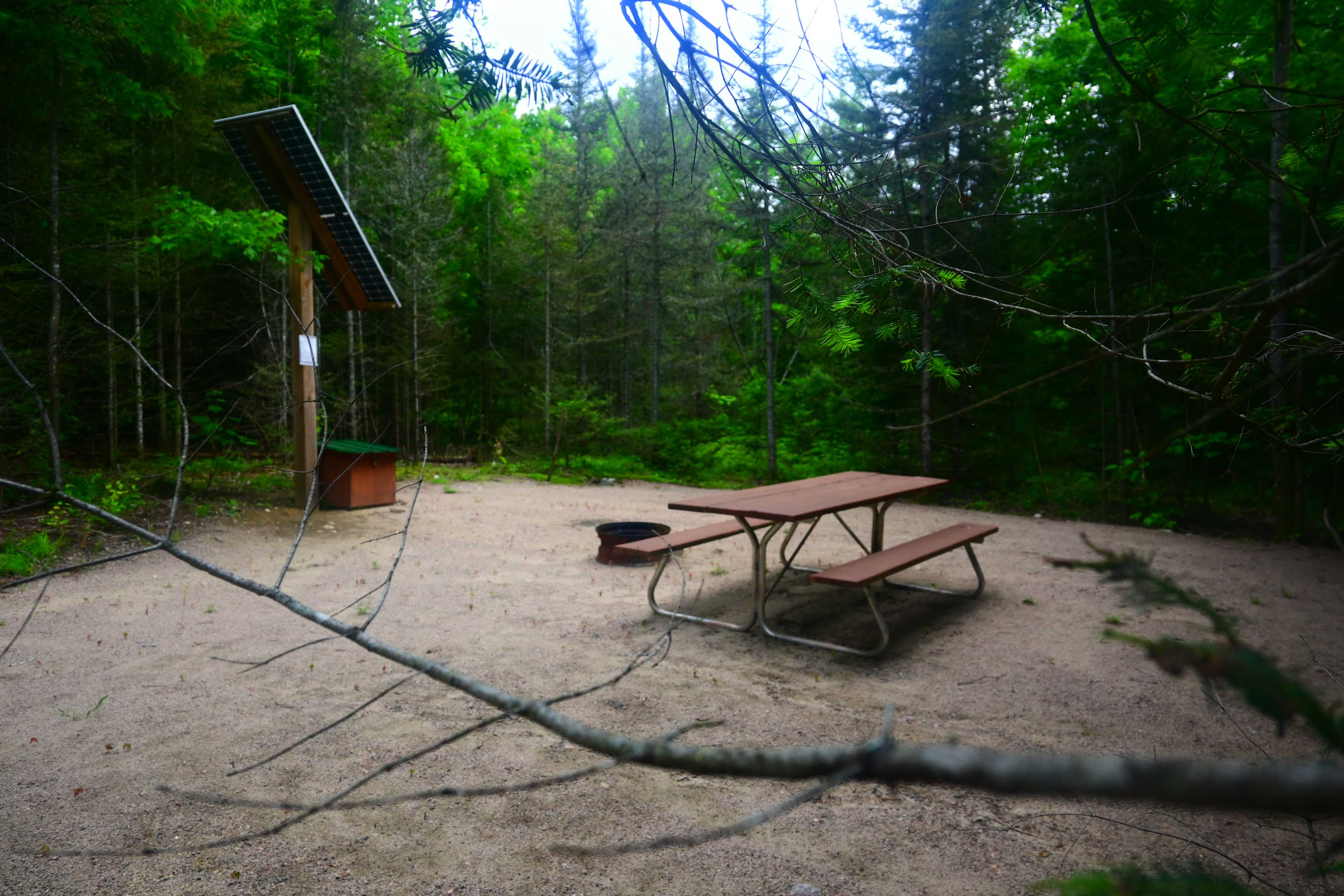 Picture of the site