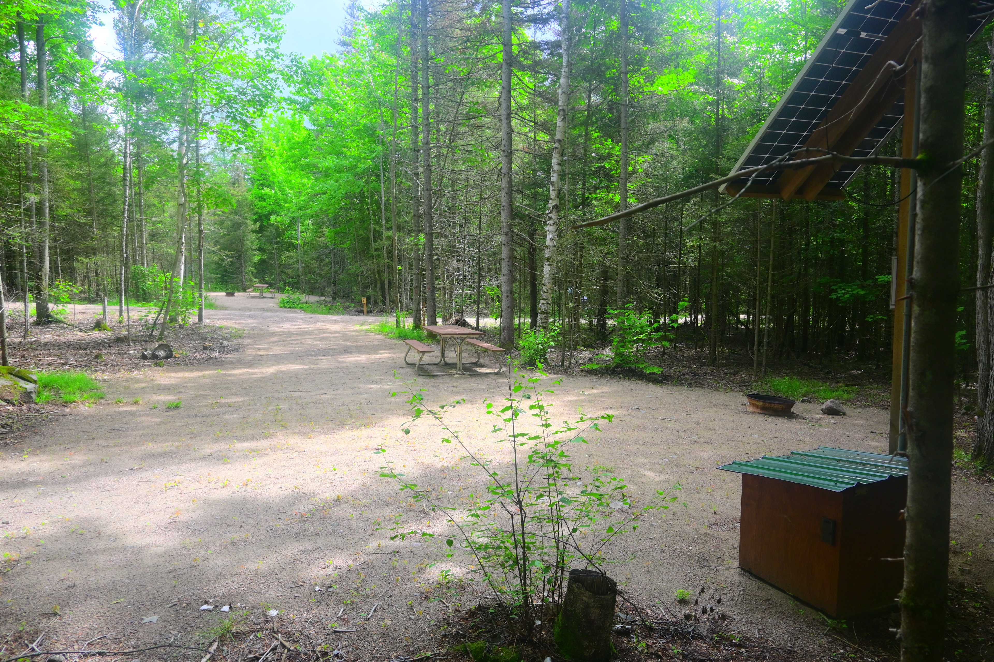 Picture of the site