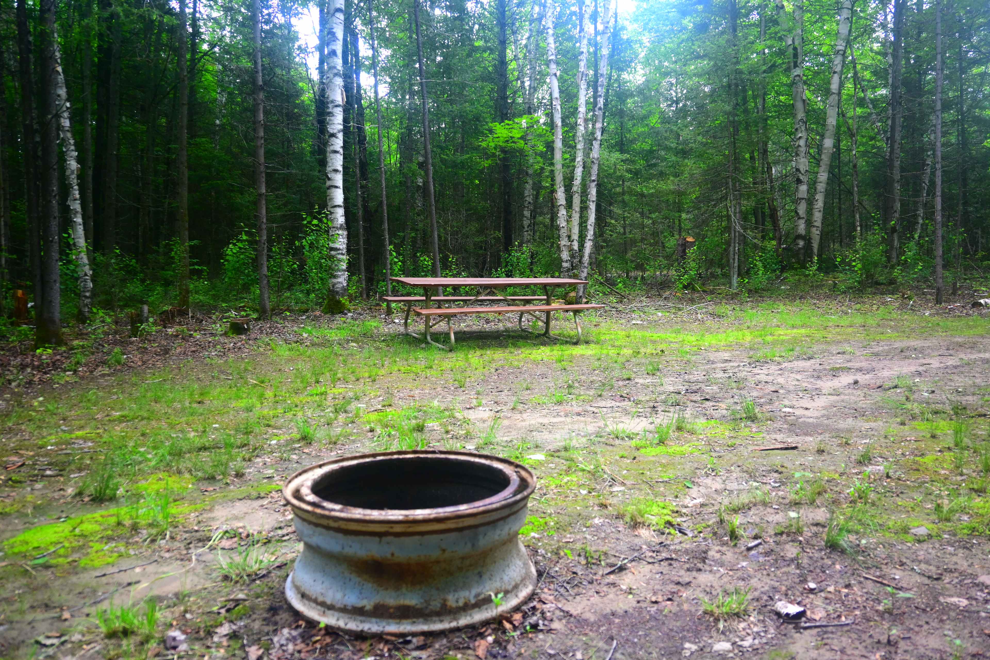 Picture of the site