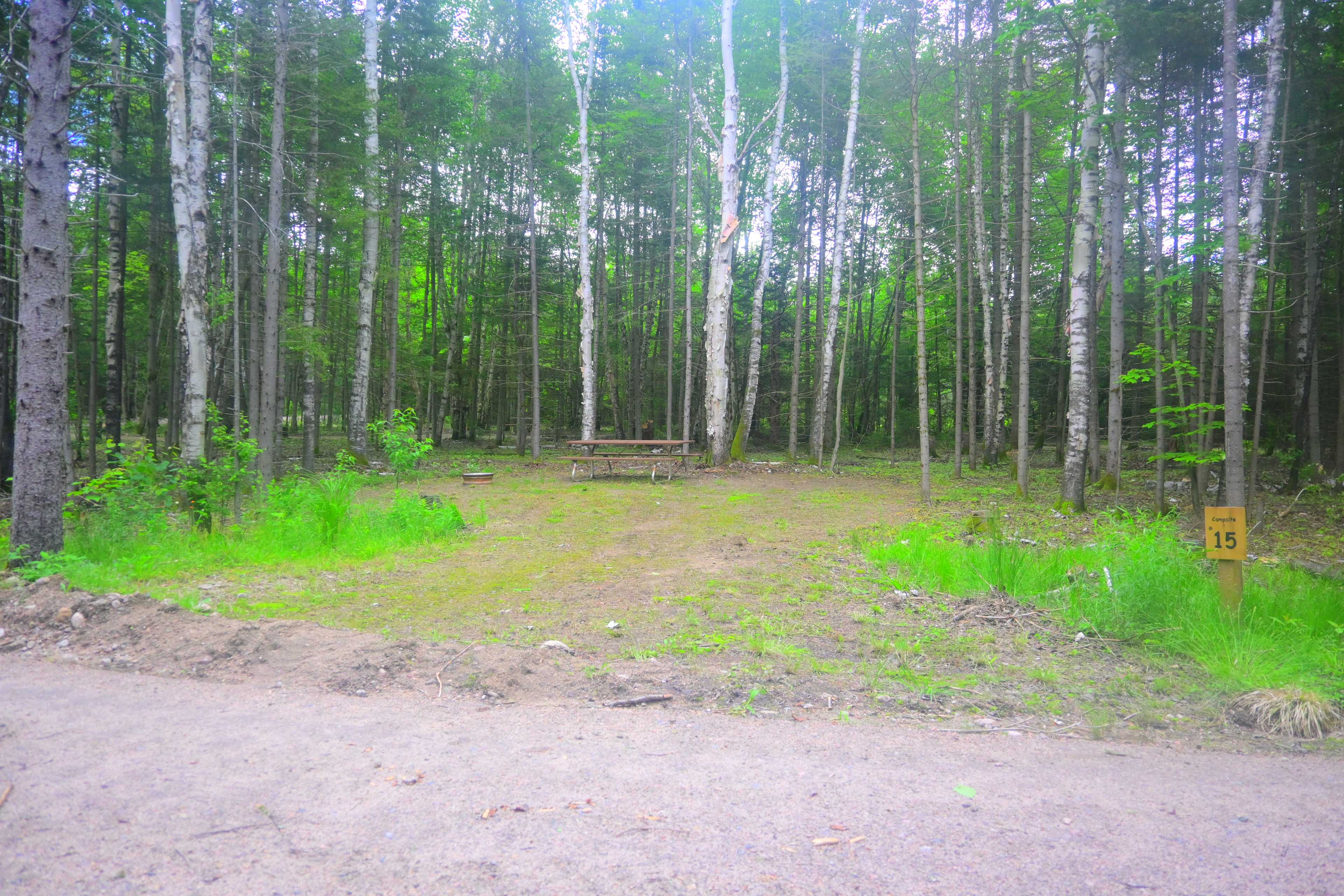 Picture of the site
