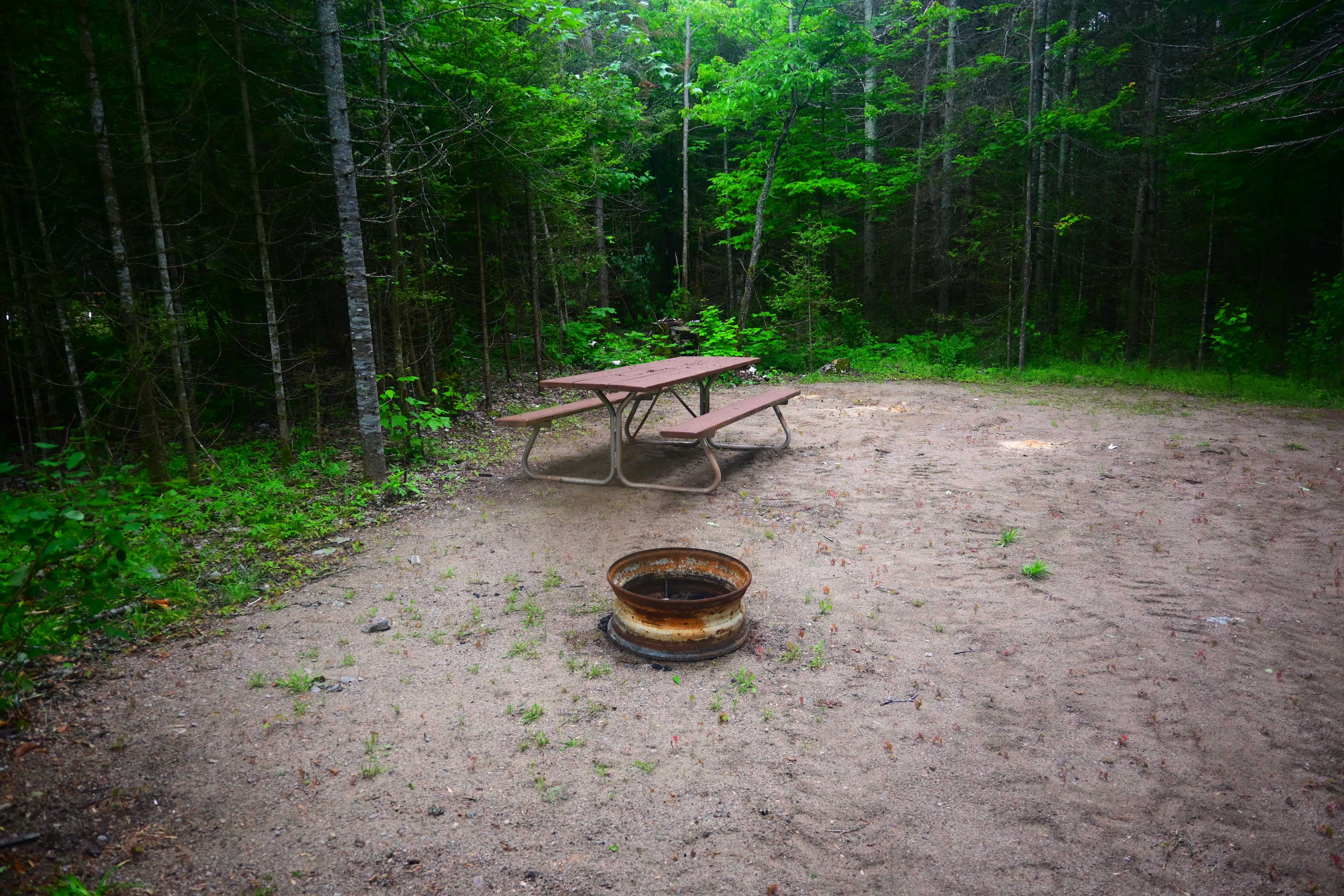 Picture of the site