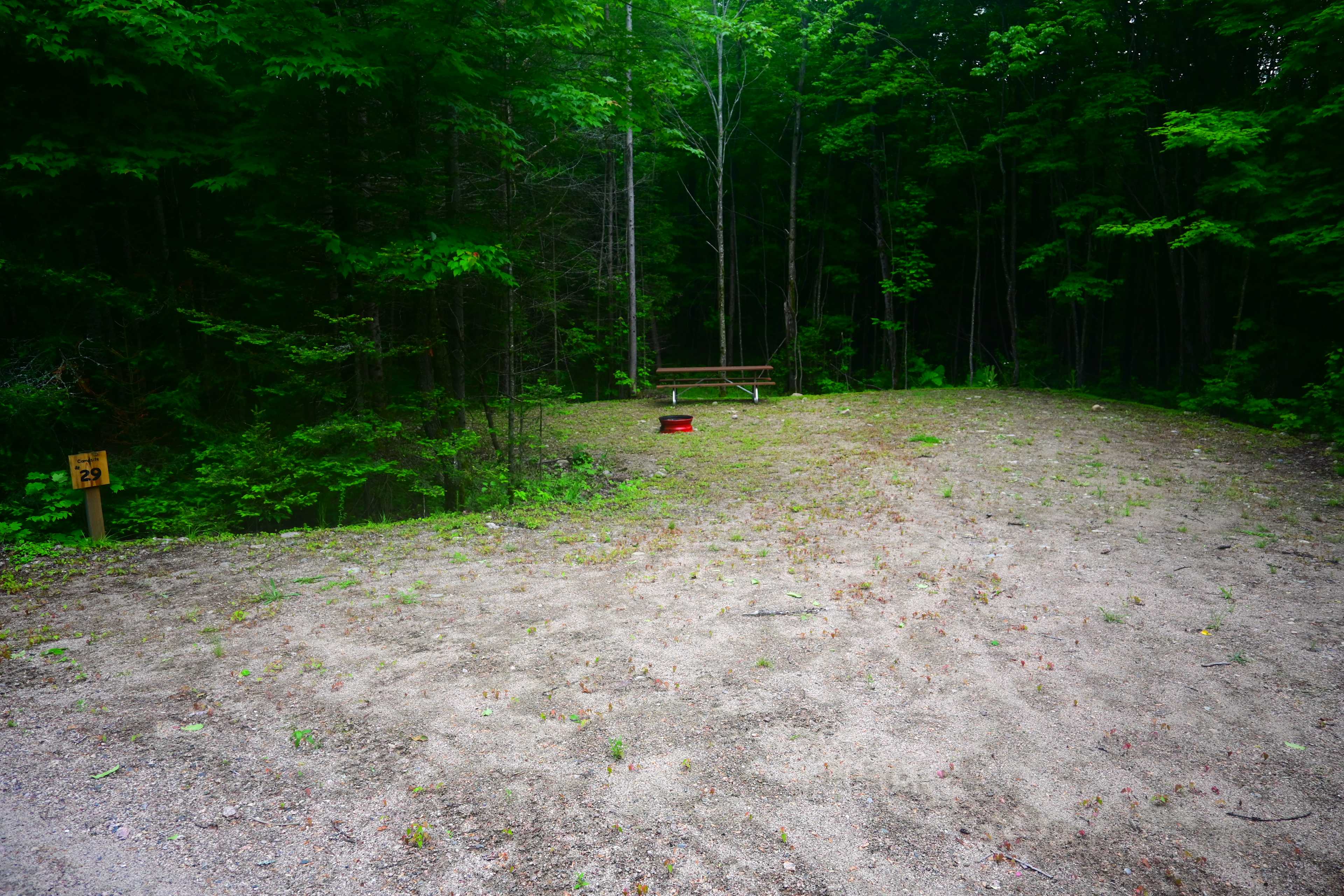 Picture of the site