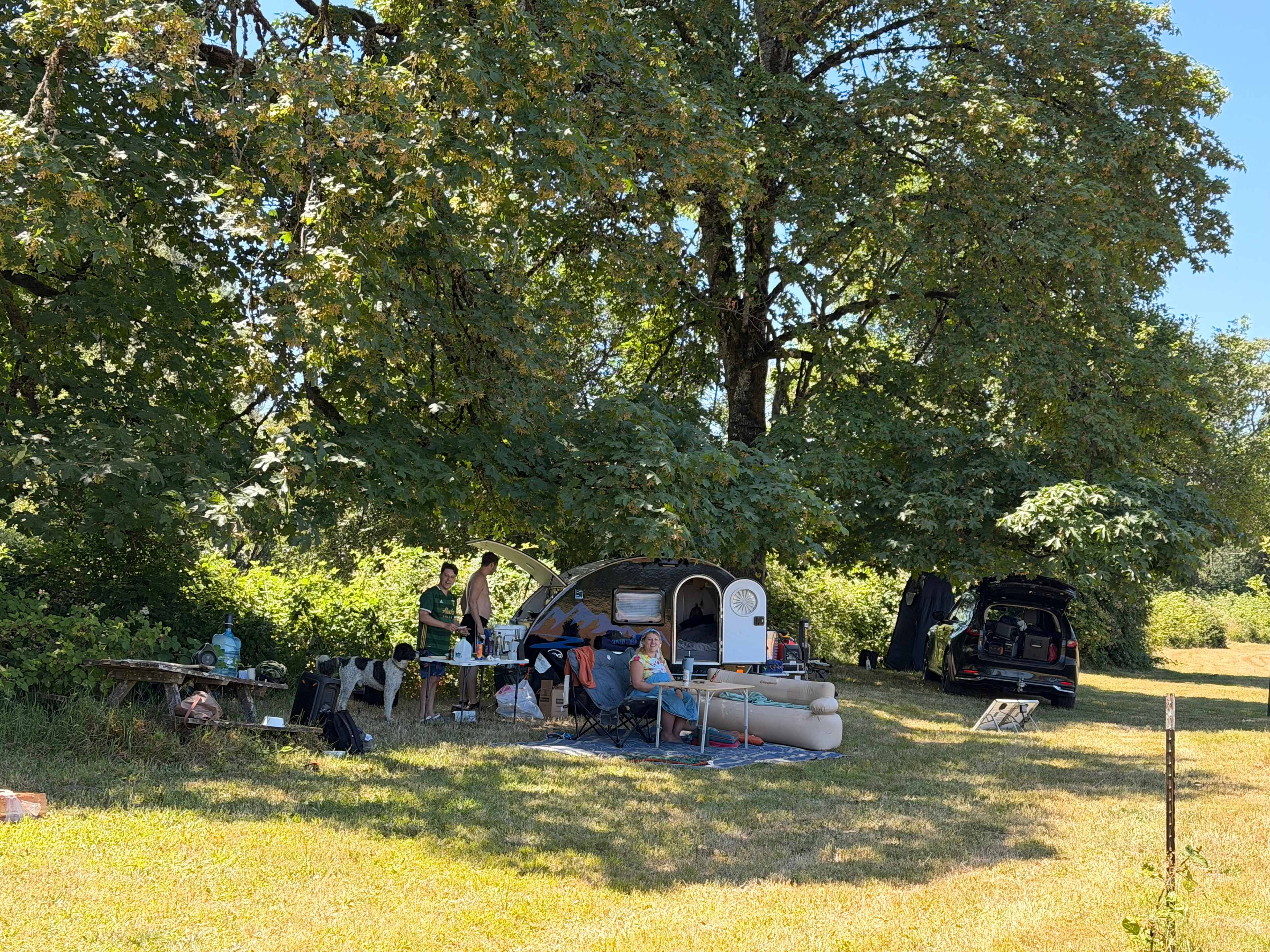 Picture of the site
