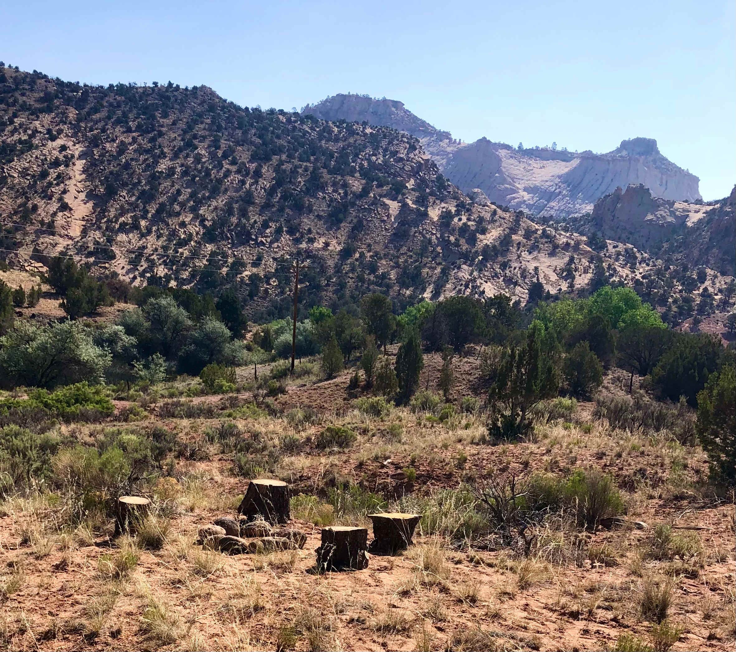 Picture of the site