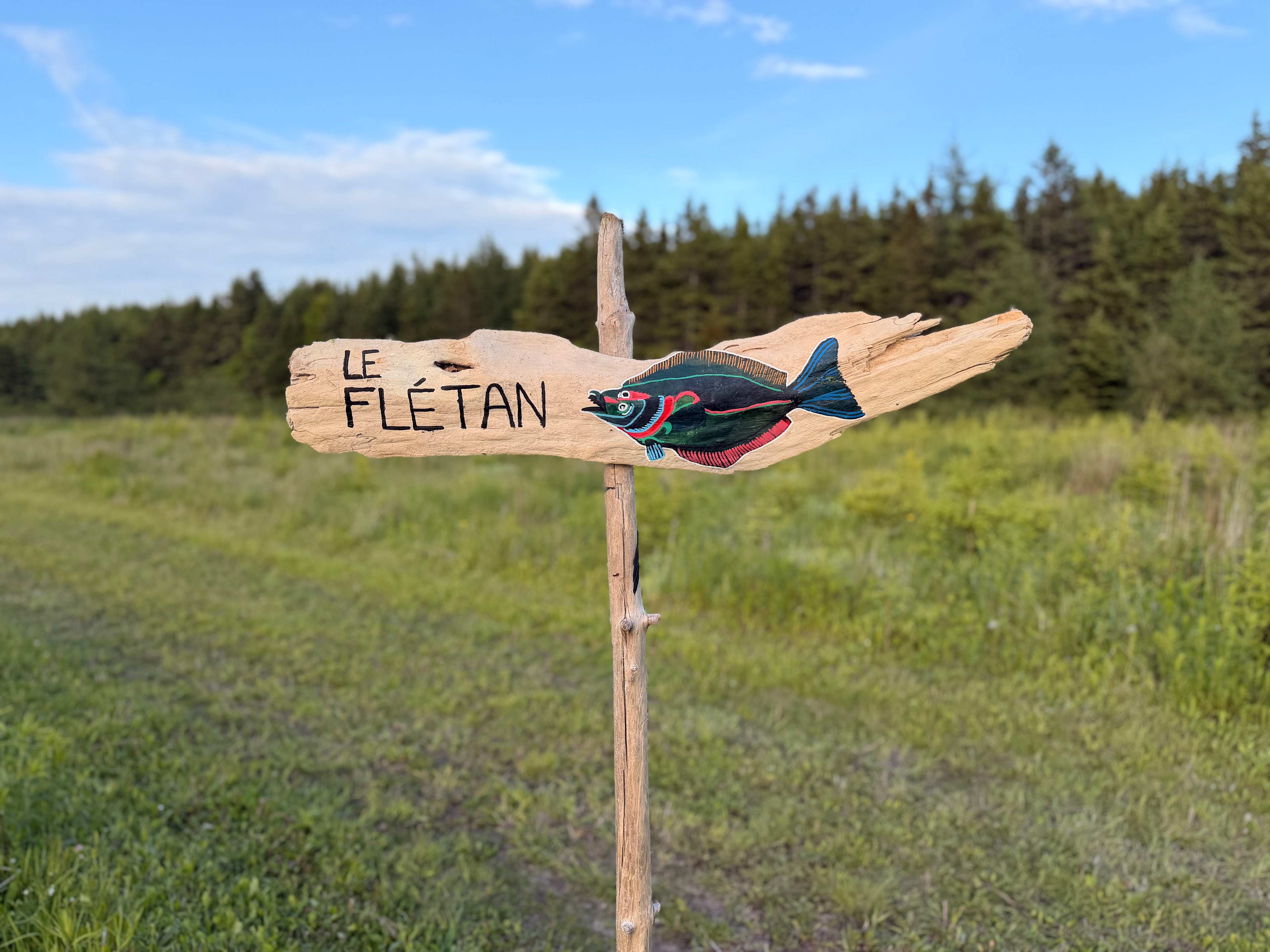 Picture of the site