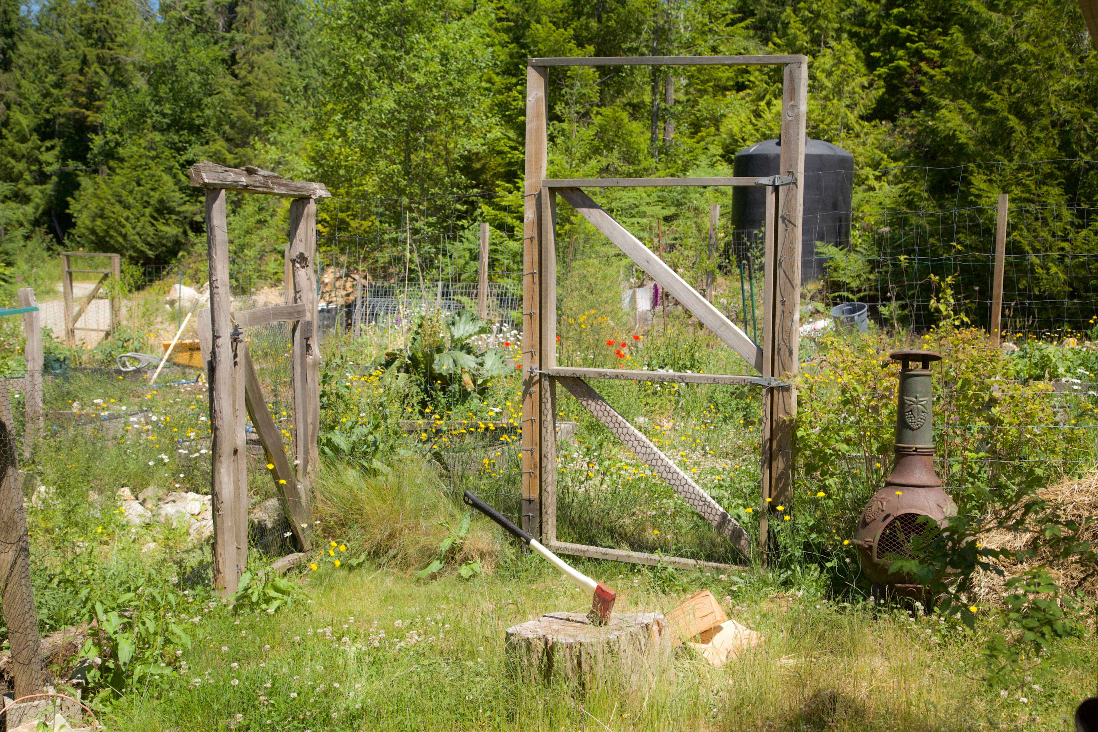 Picture of the site