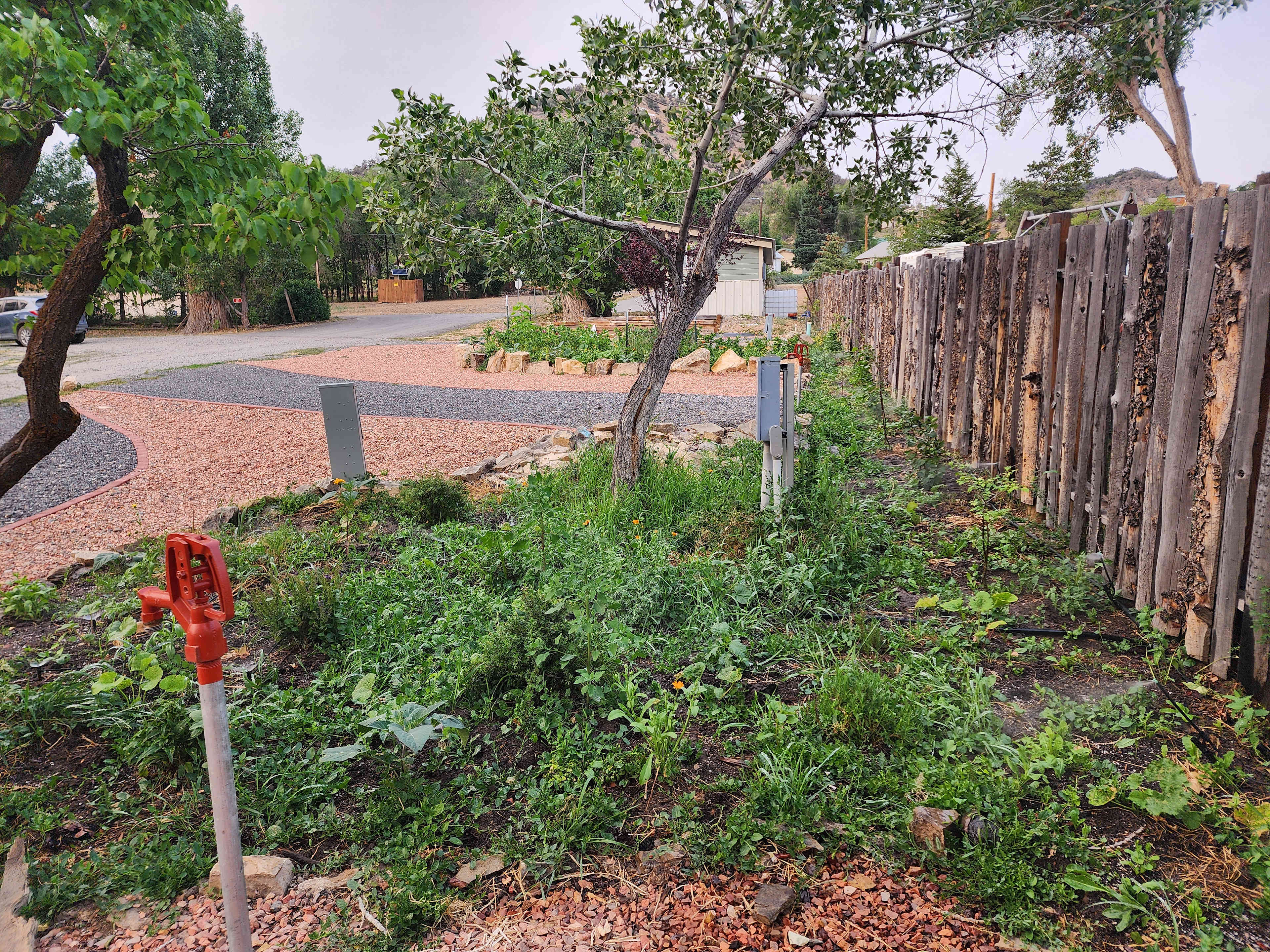 Picture of the site