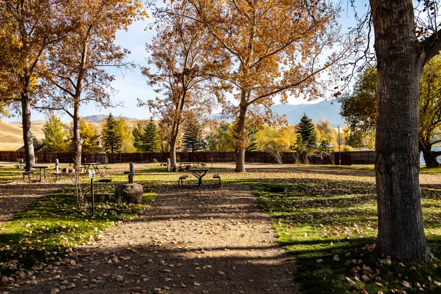 Picture of the site