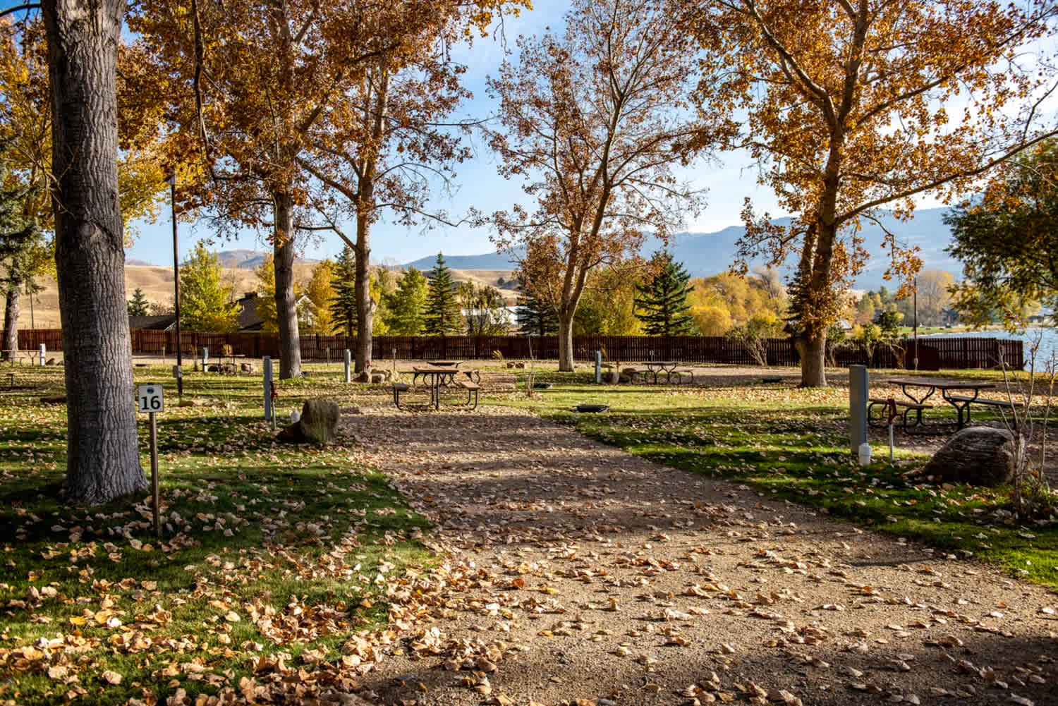 Picture of the site