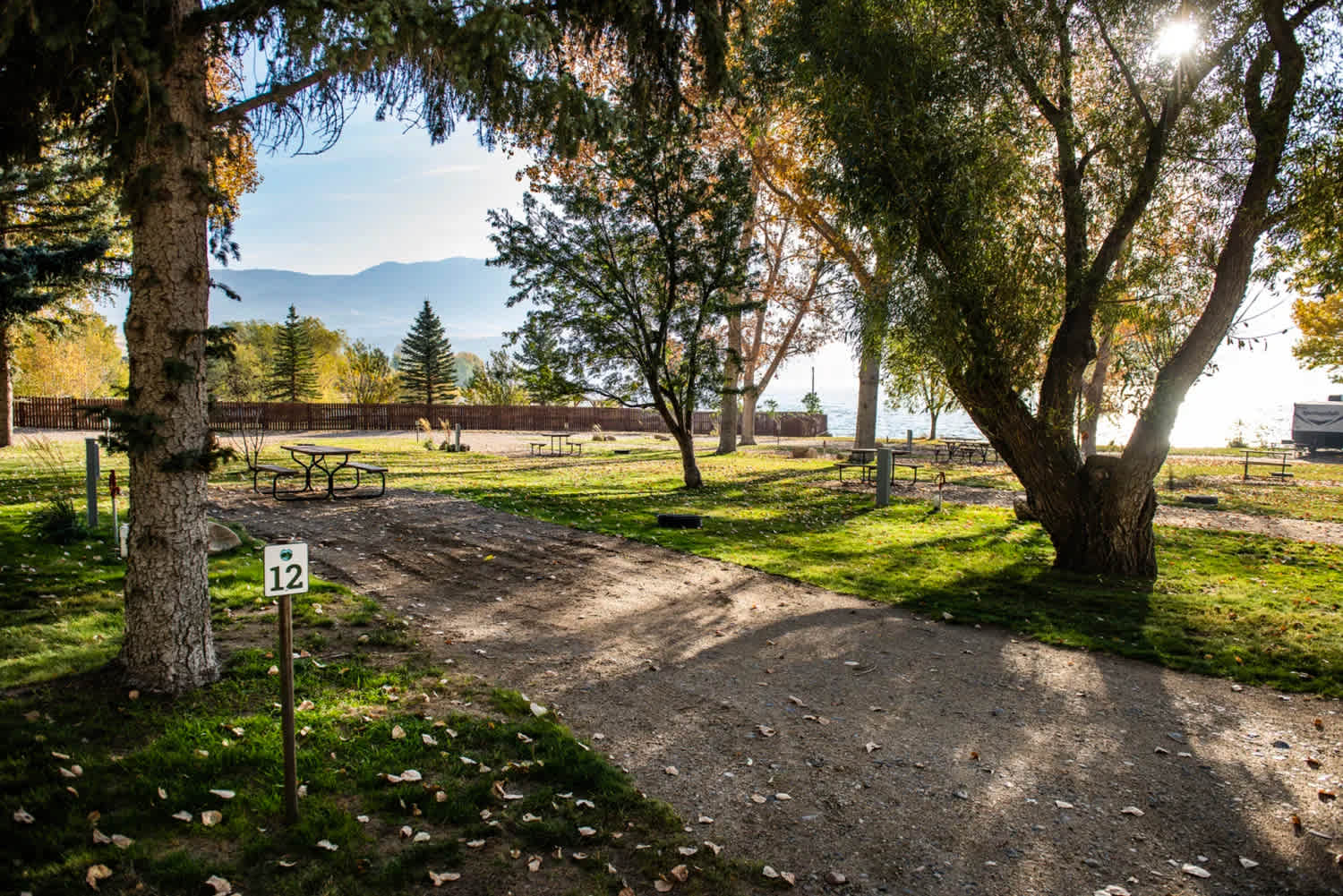 Picture of the site