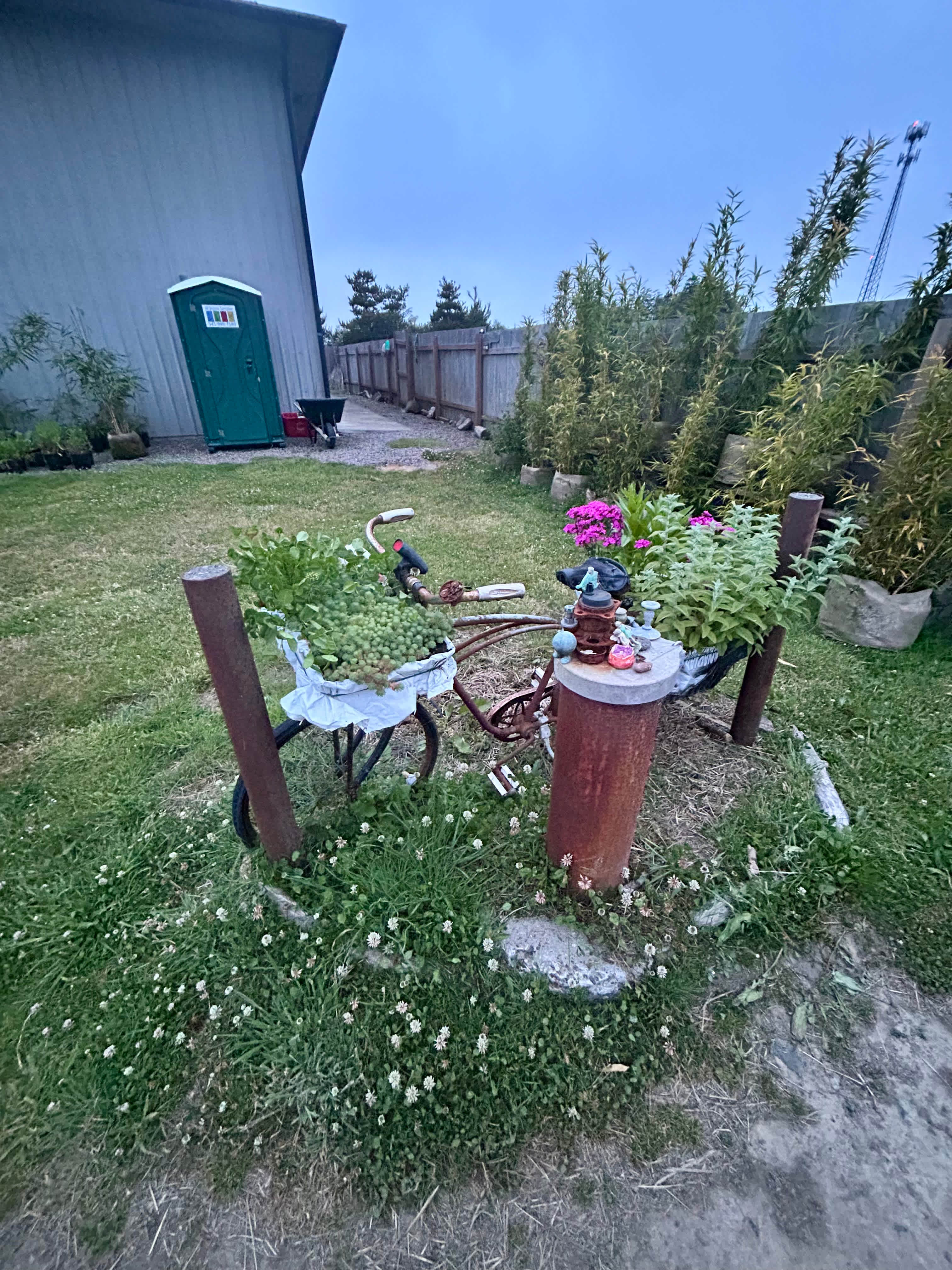 Picture of the site