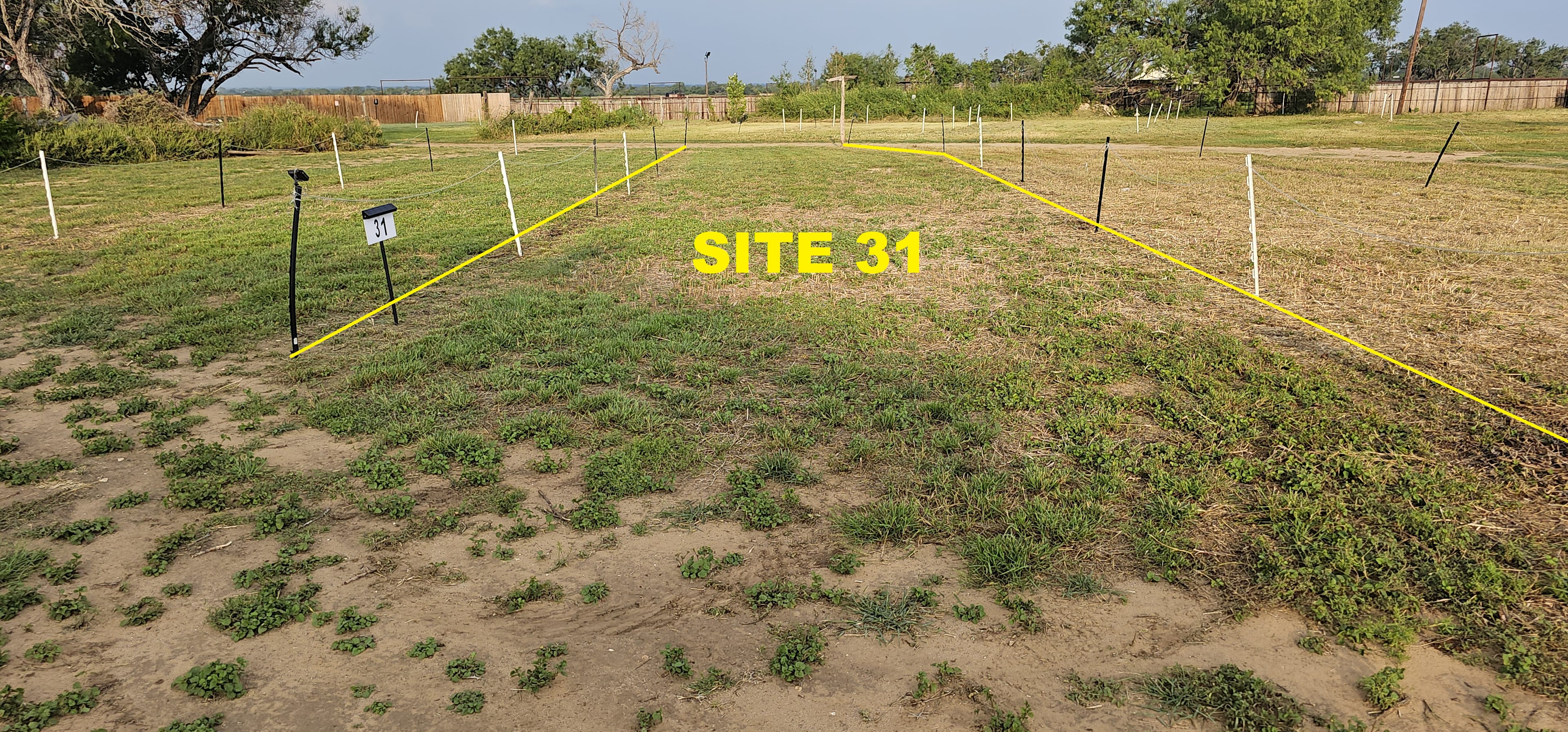 Picture of the site