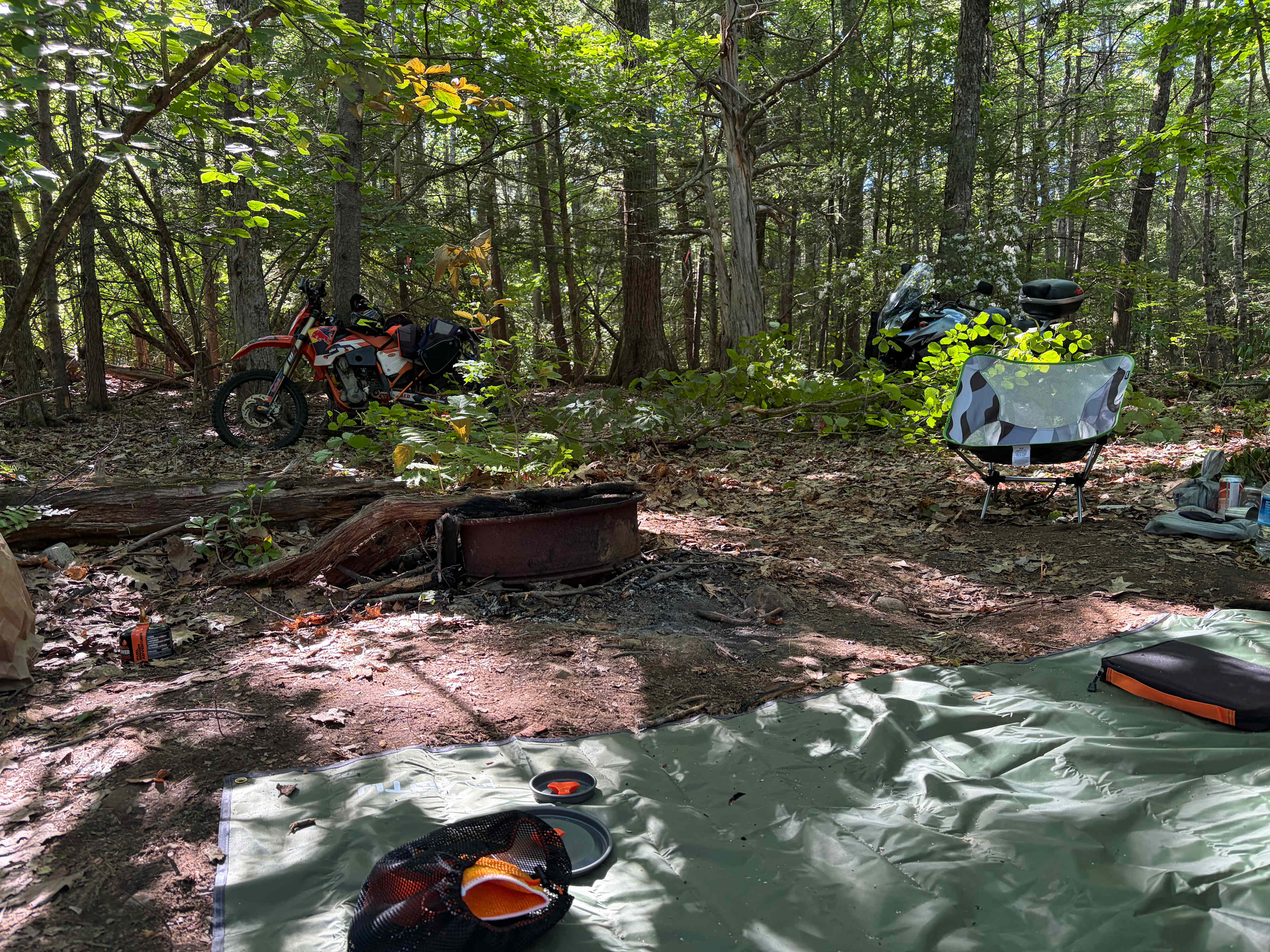 Picture of the site