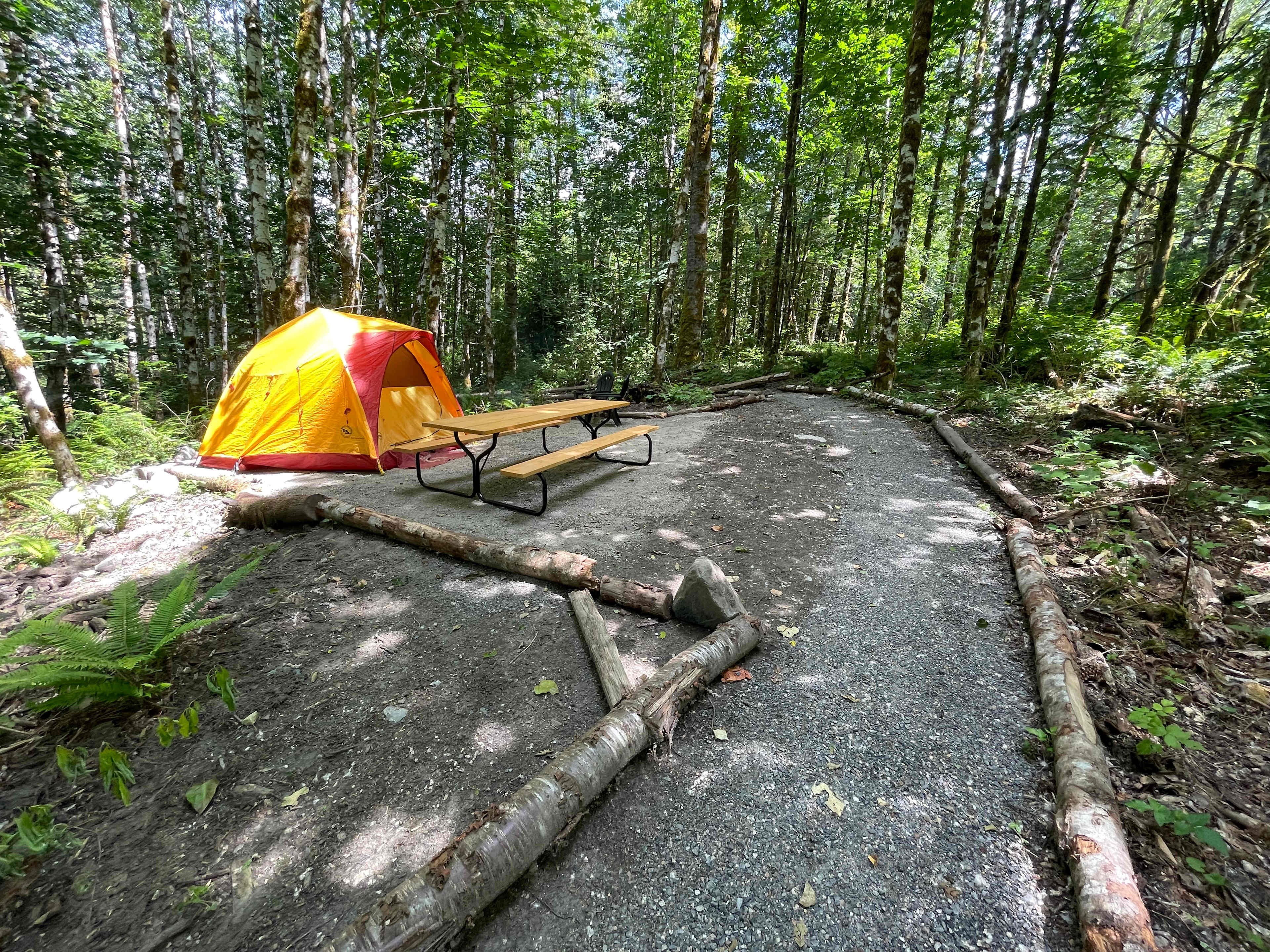 Picture of the site