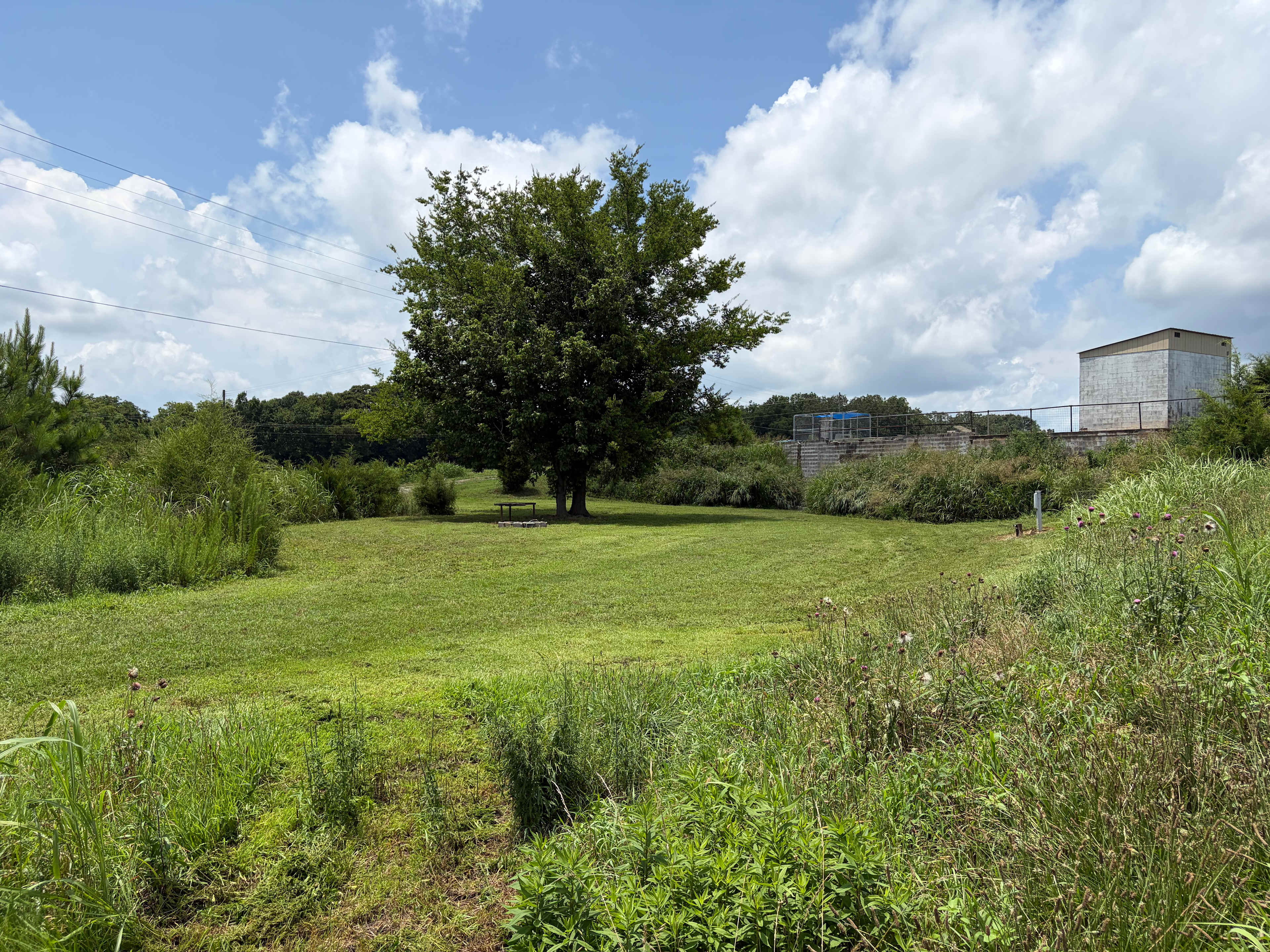 Picture of the site