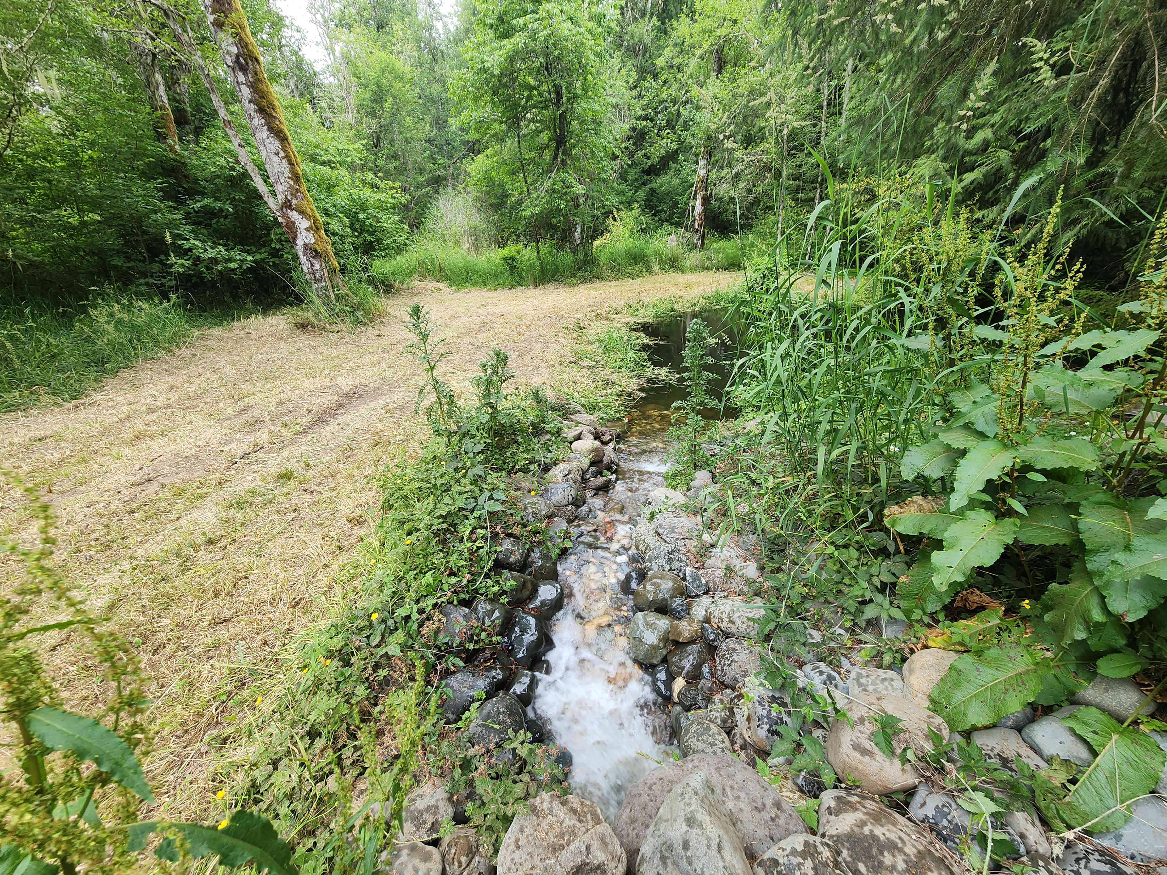 Picture of the site
