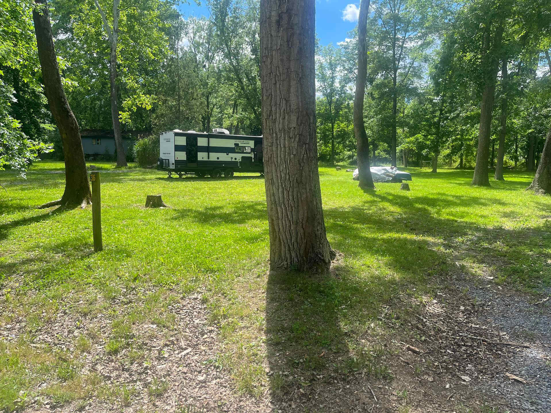Picture of the site