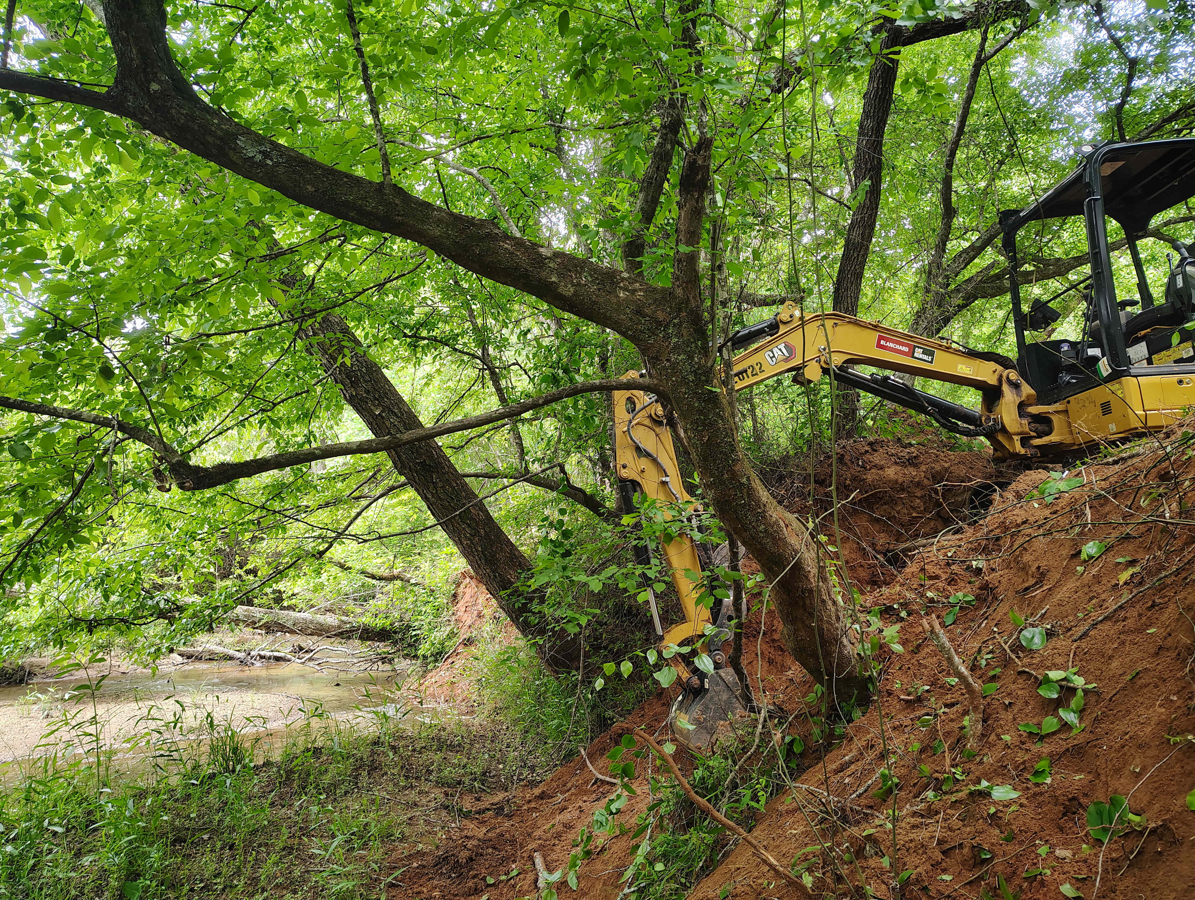 Picture of the site