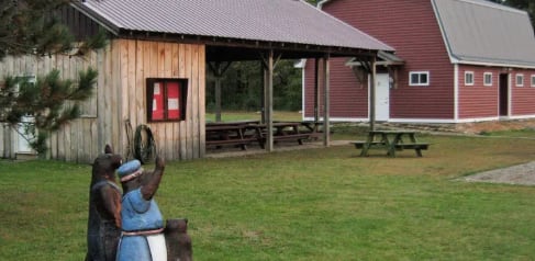 Picture of the site