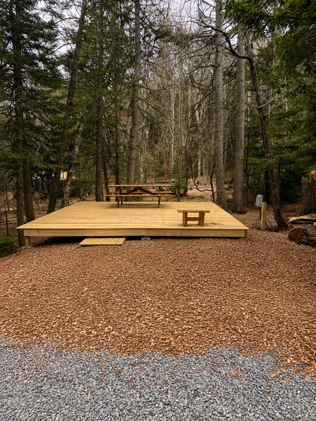 Picture of the site