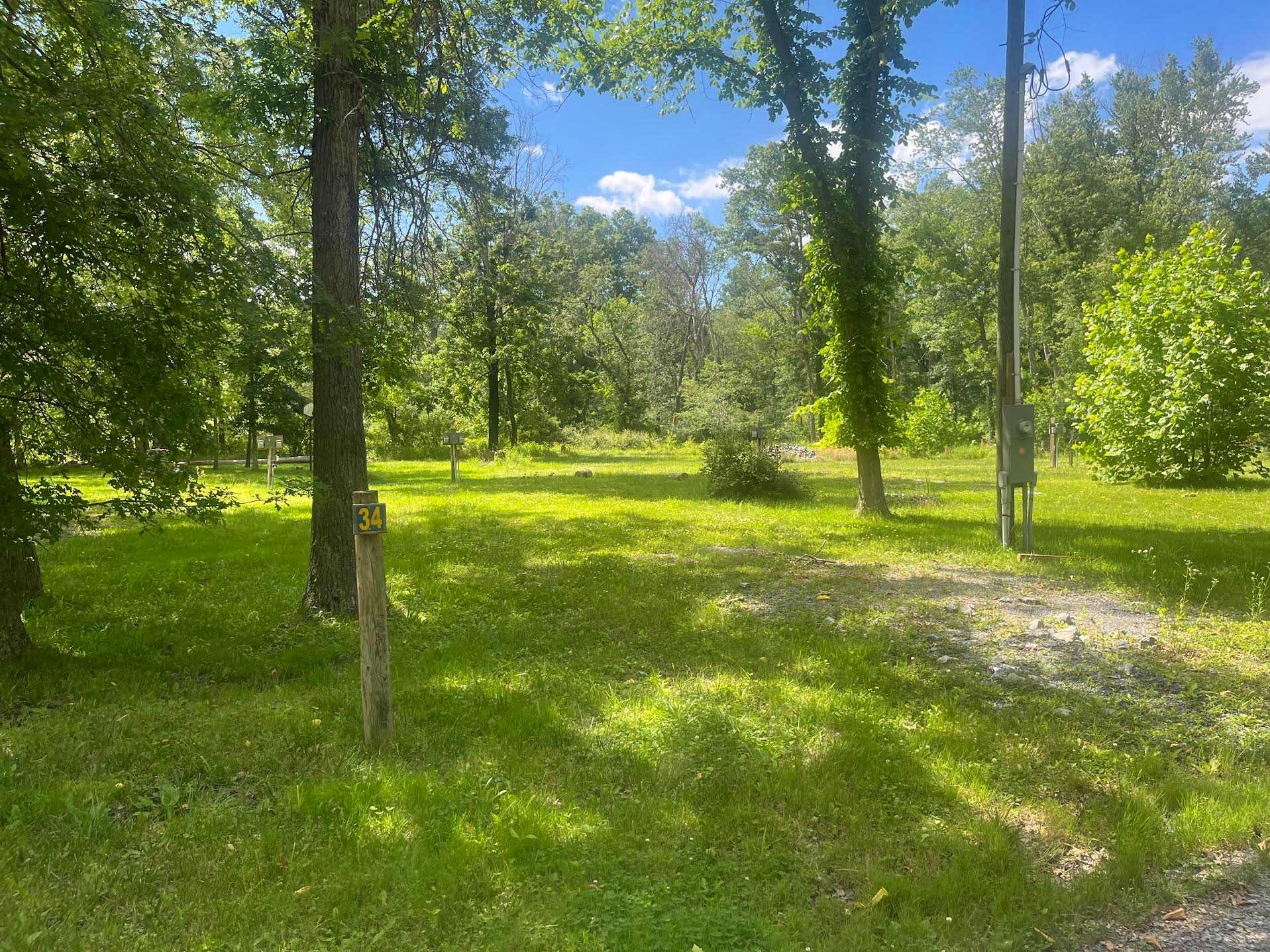 Picture of the site