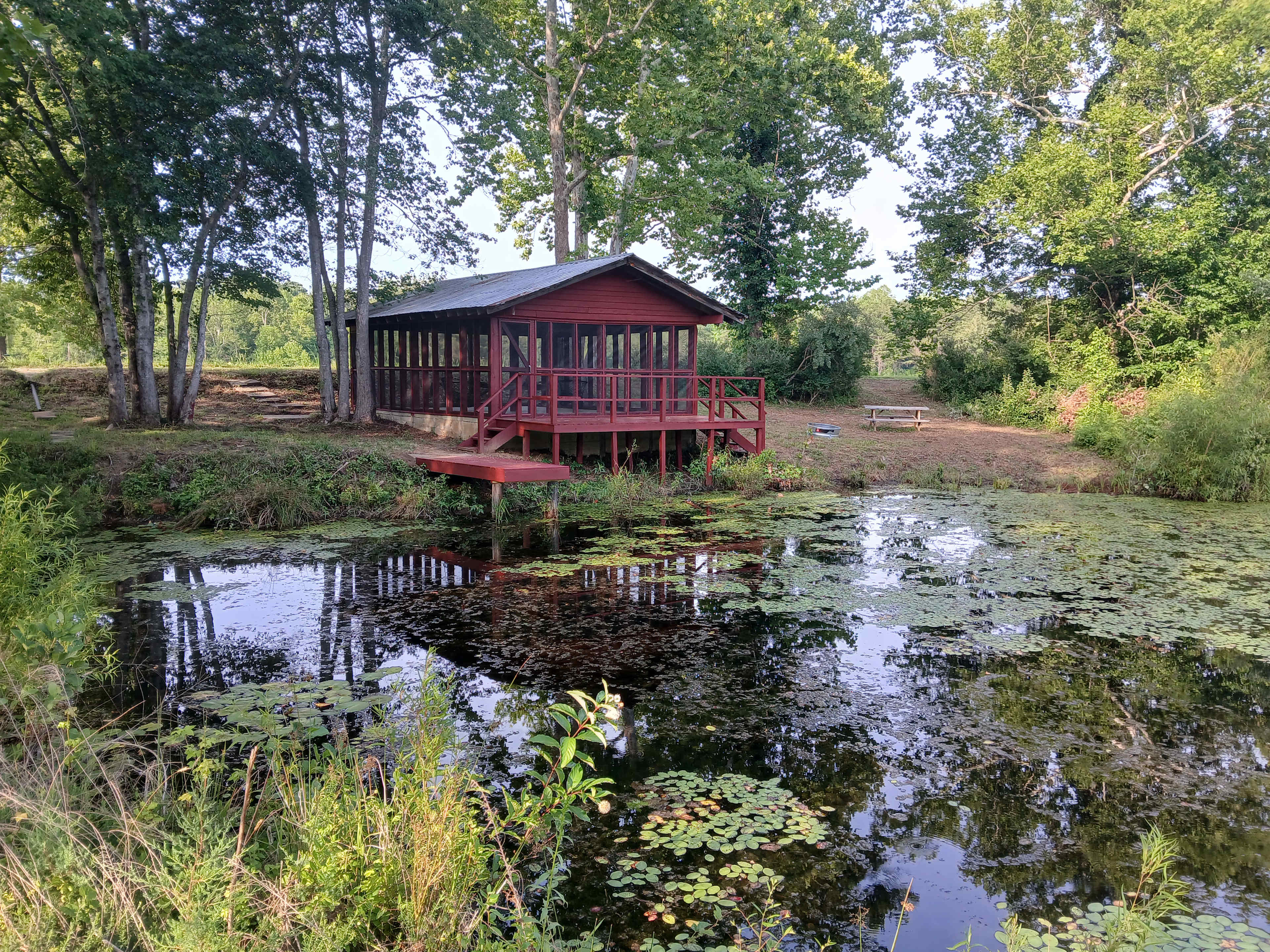 Picture of the site