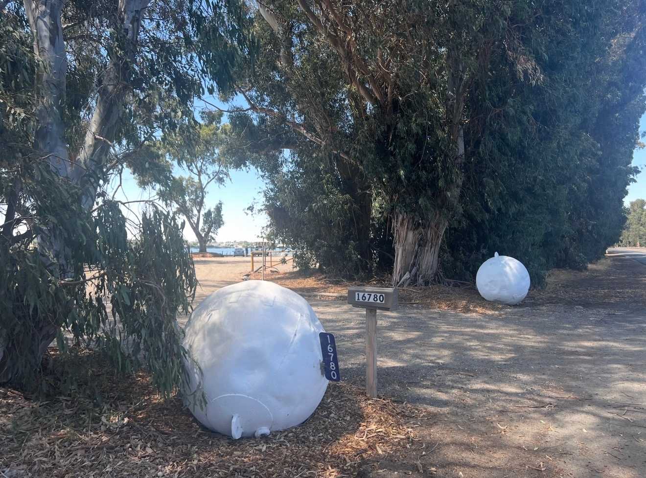 Picture of the site