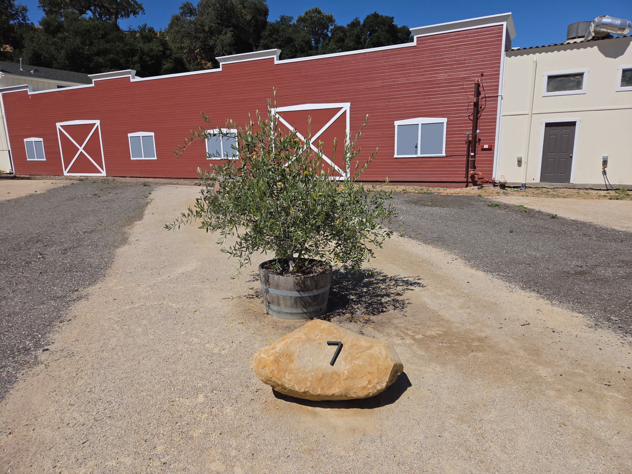Picture of the site