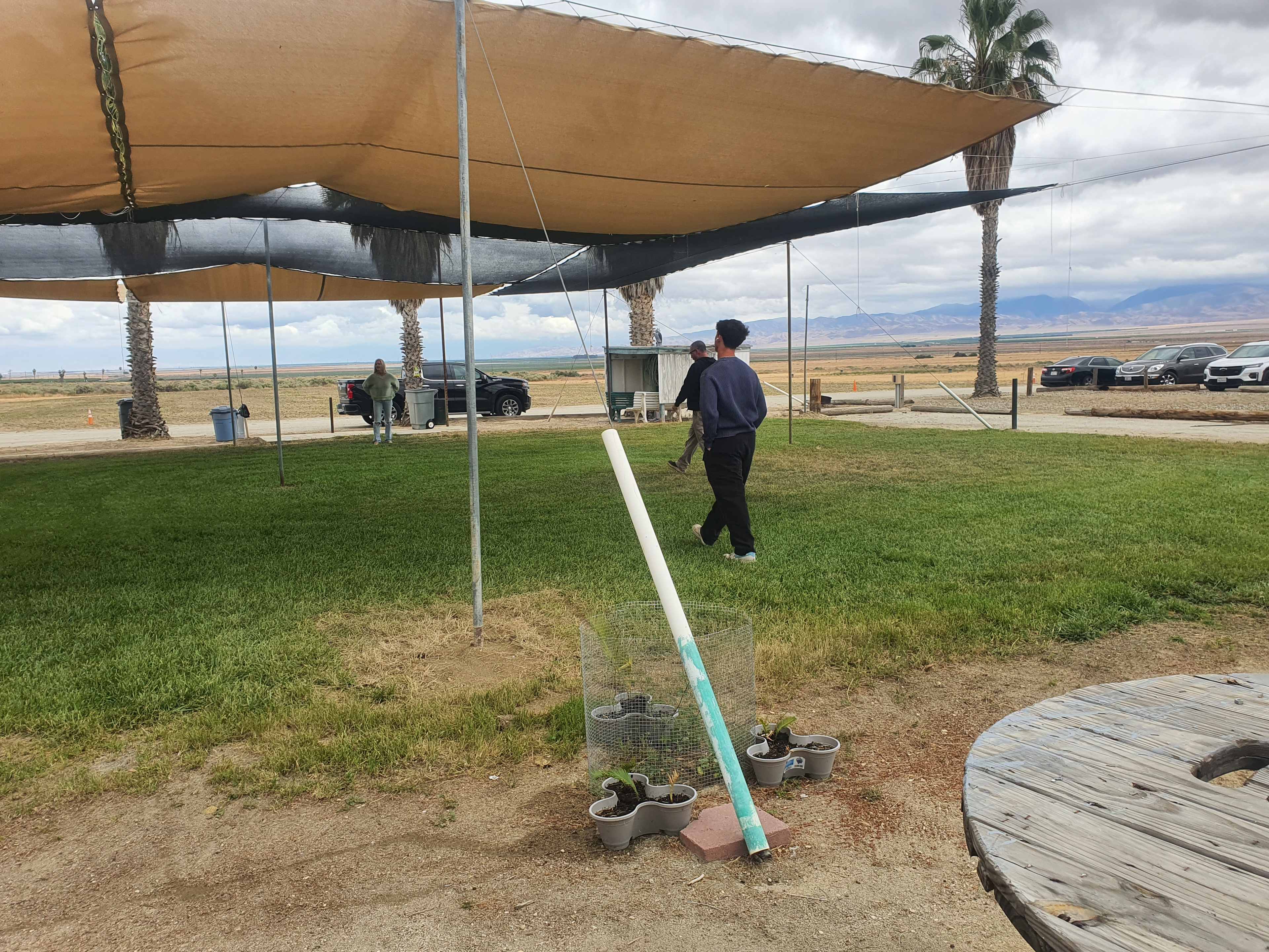 Picture of the site