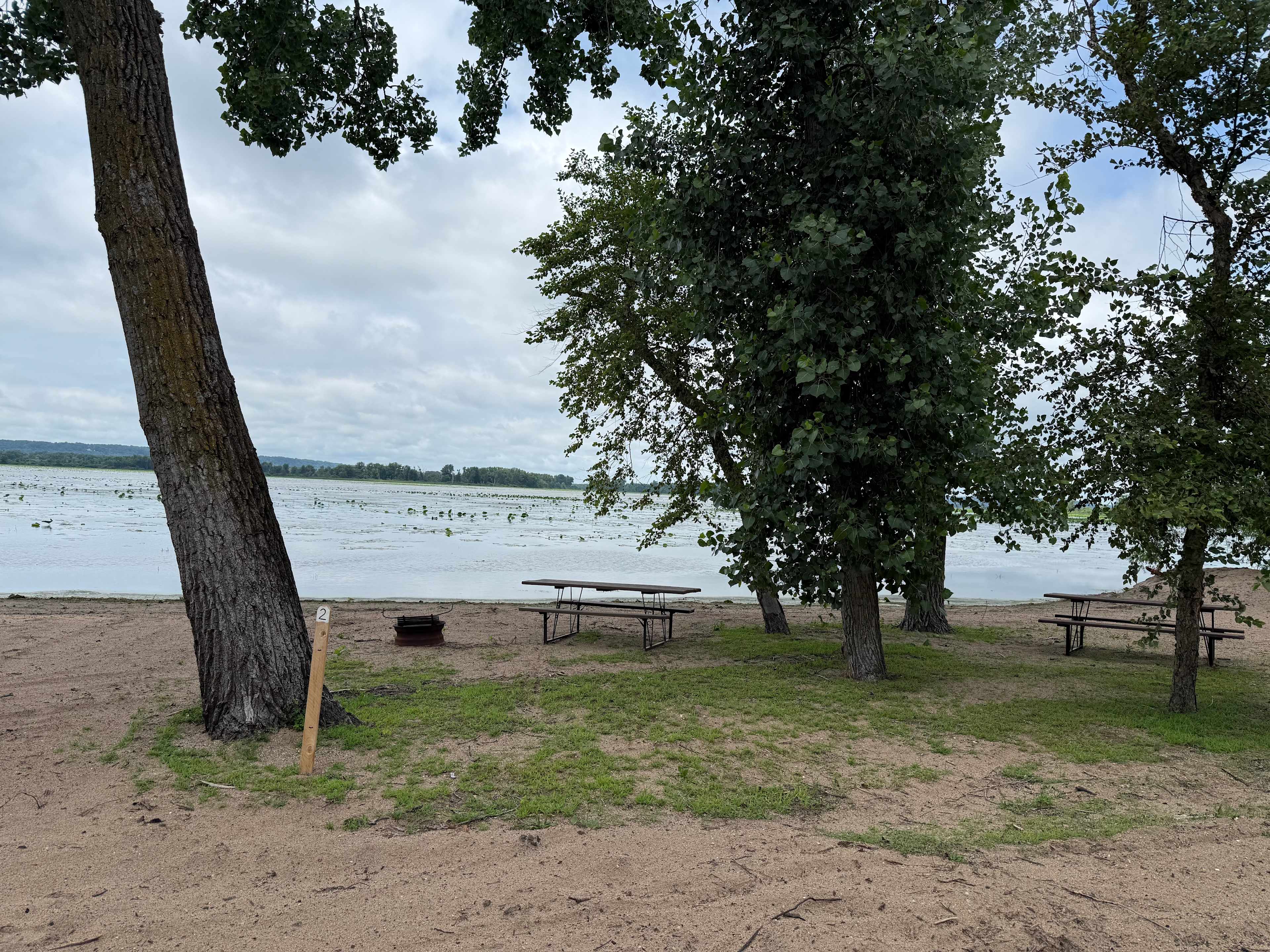 Picture of the site