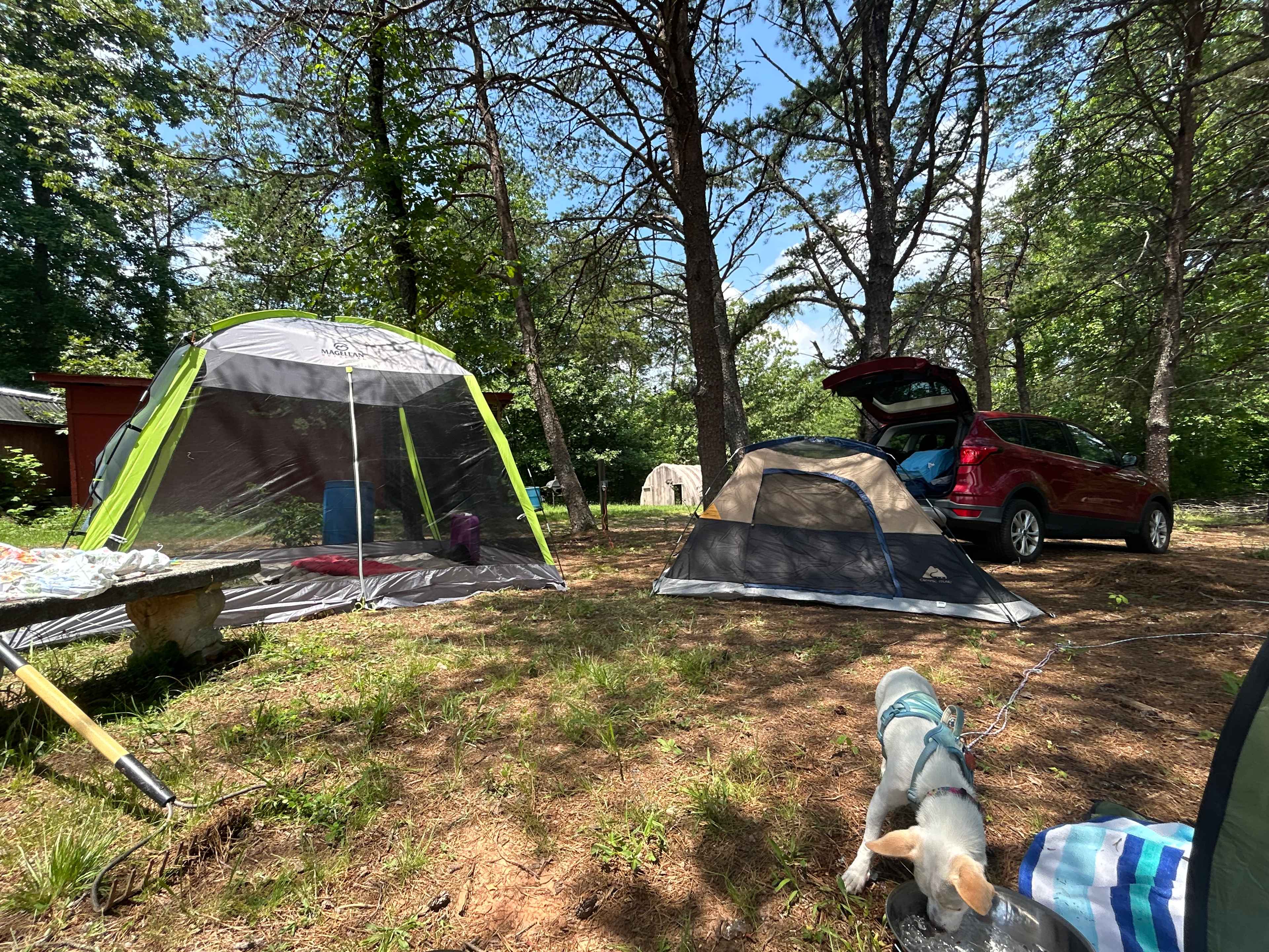 Picture of the site