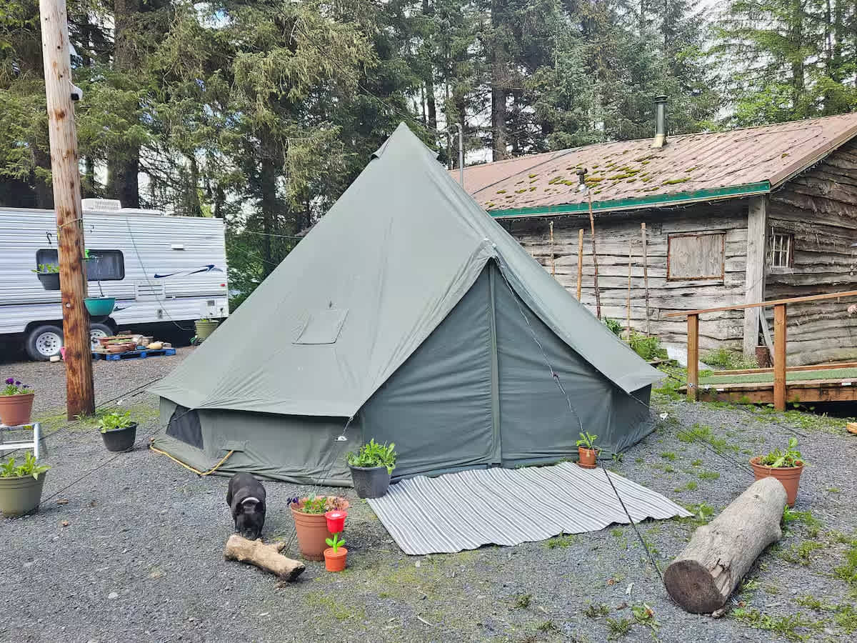 Picture of the site
