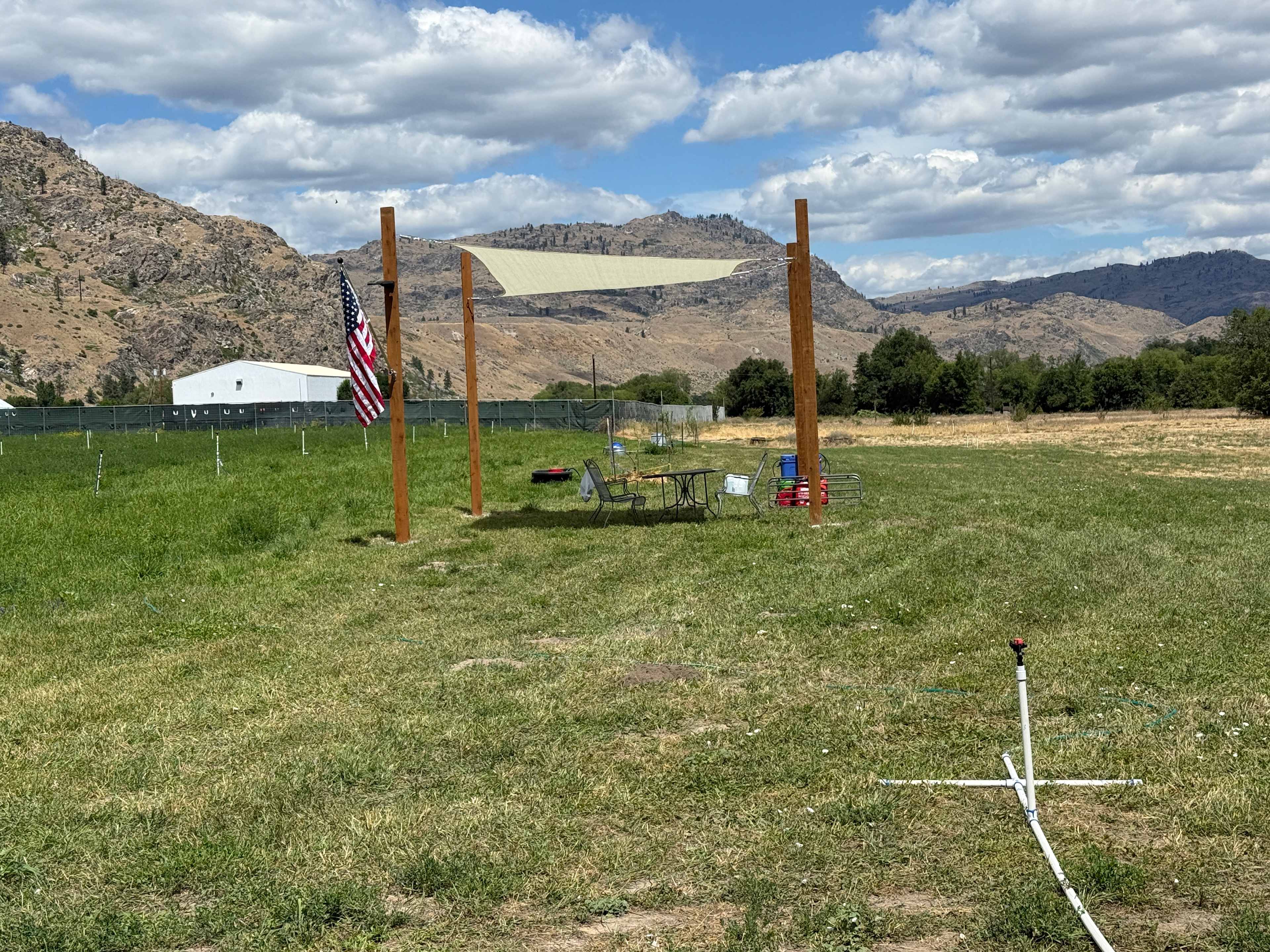 Picture of the site