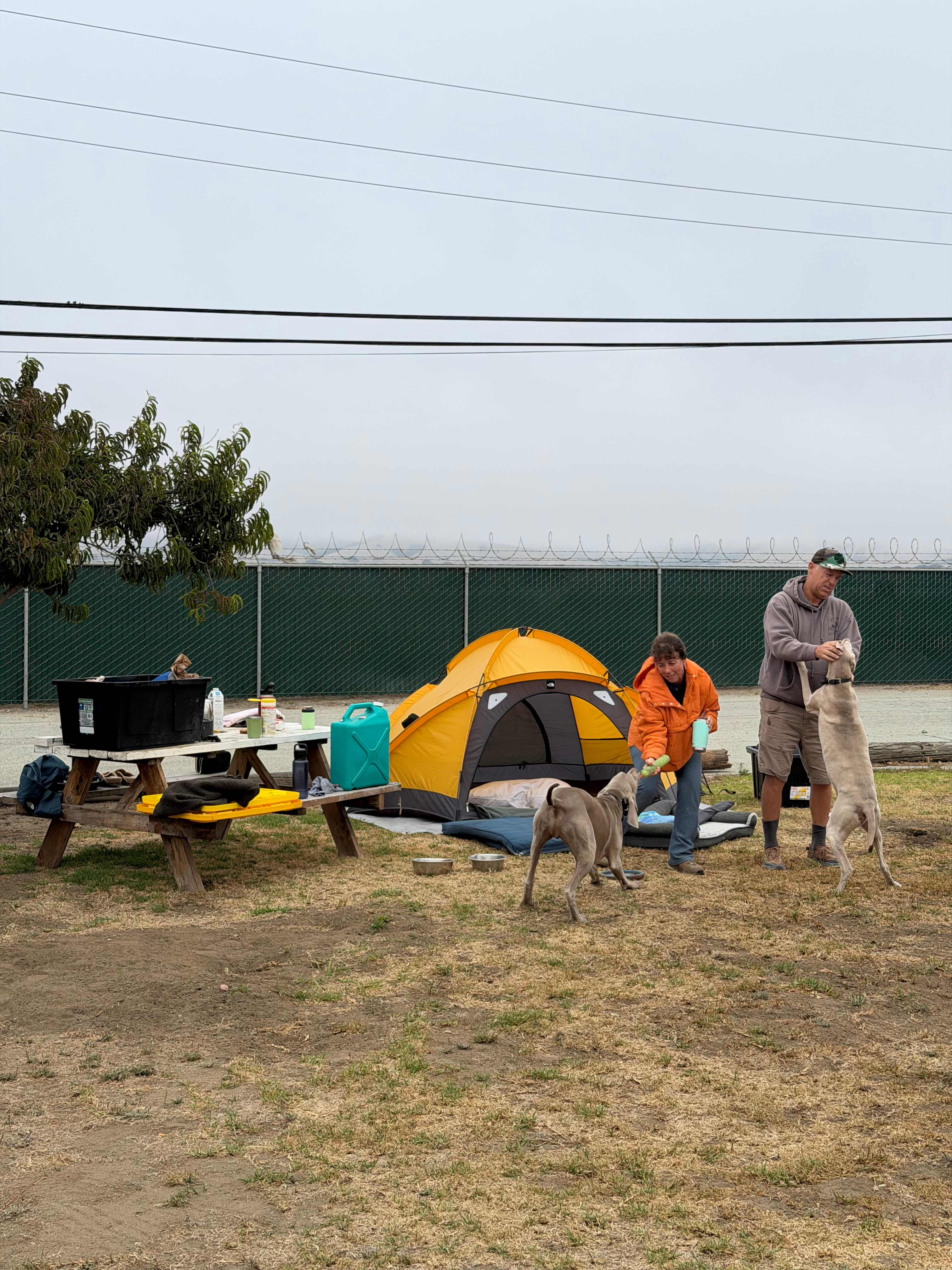 Picture of the site
