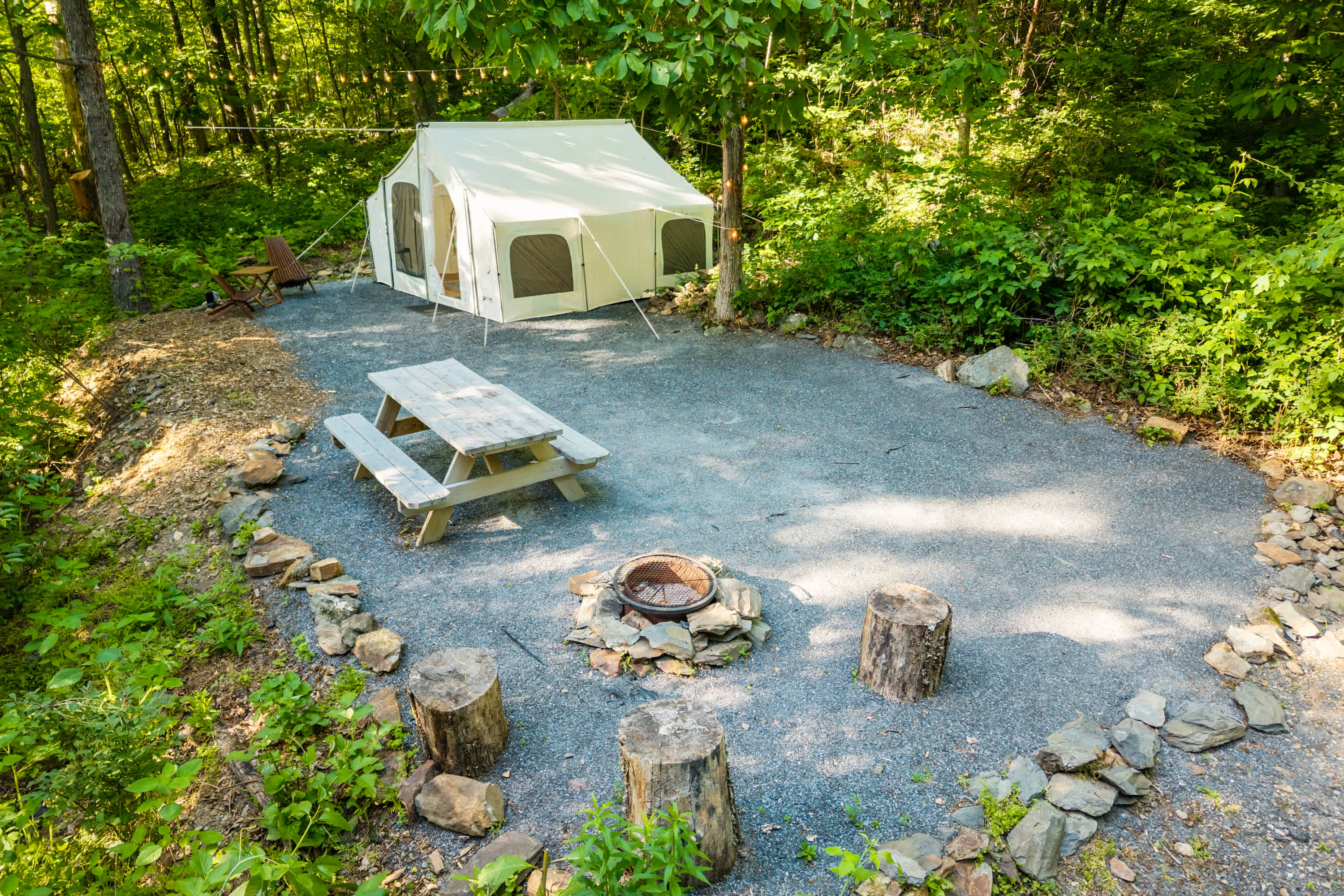 Picture of the site