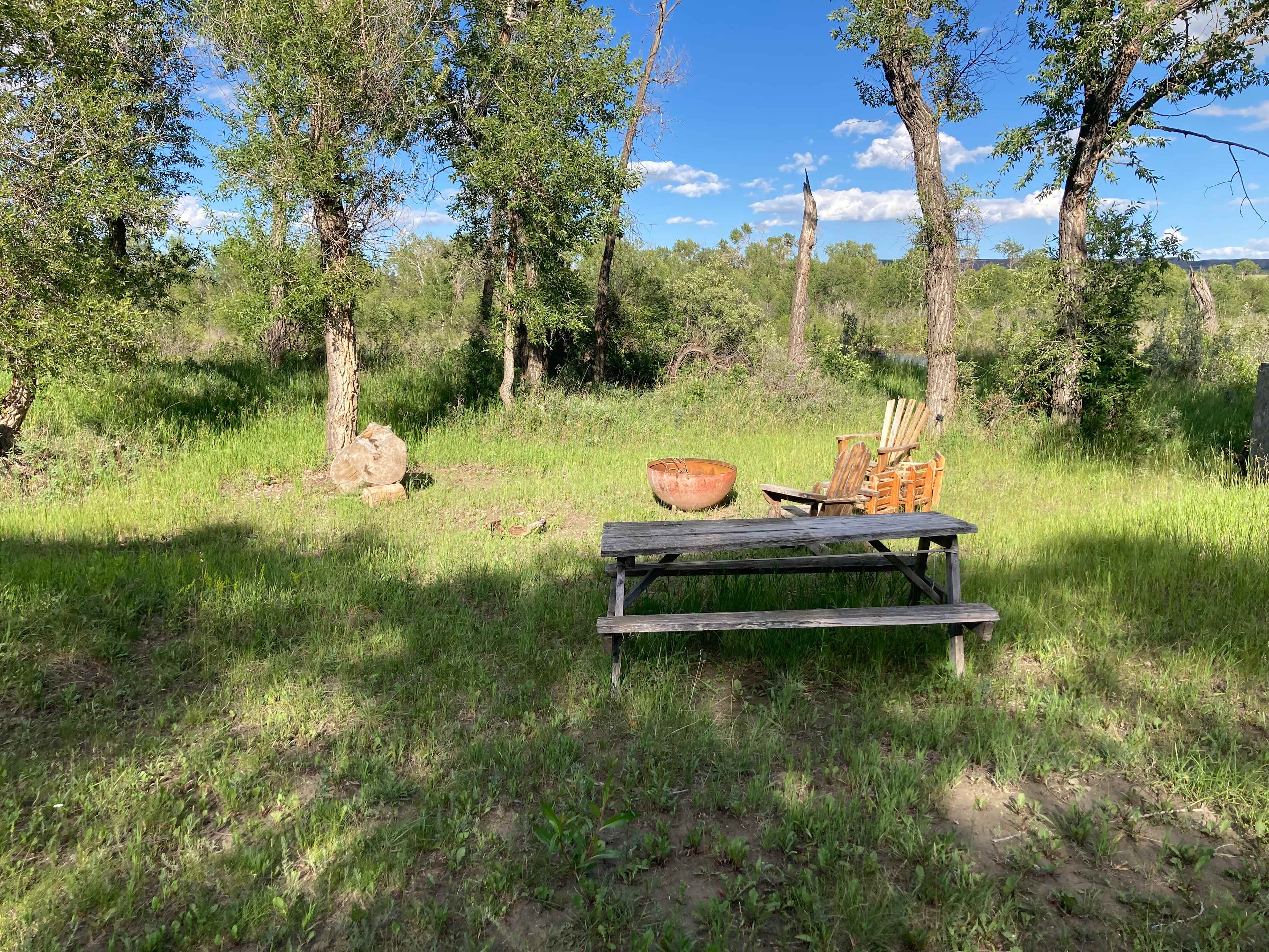 Picture of the site