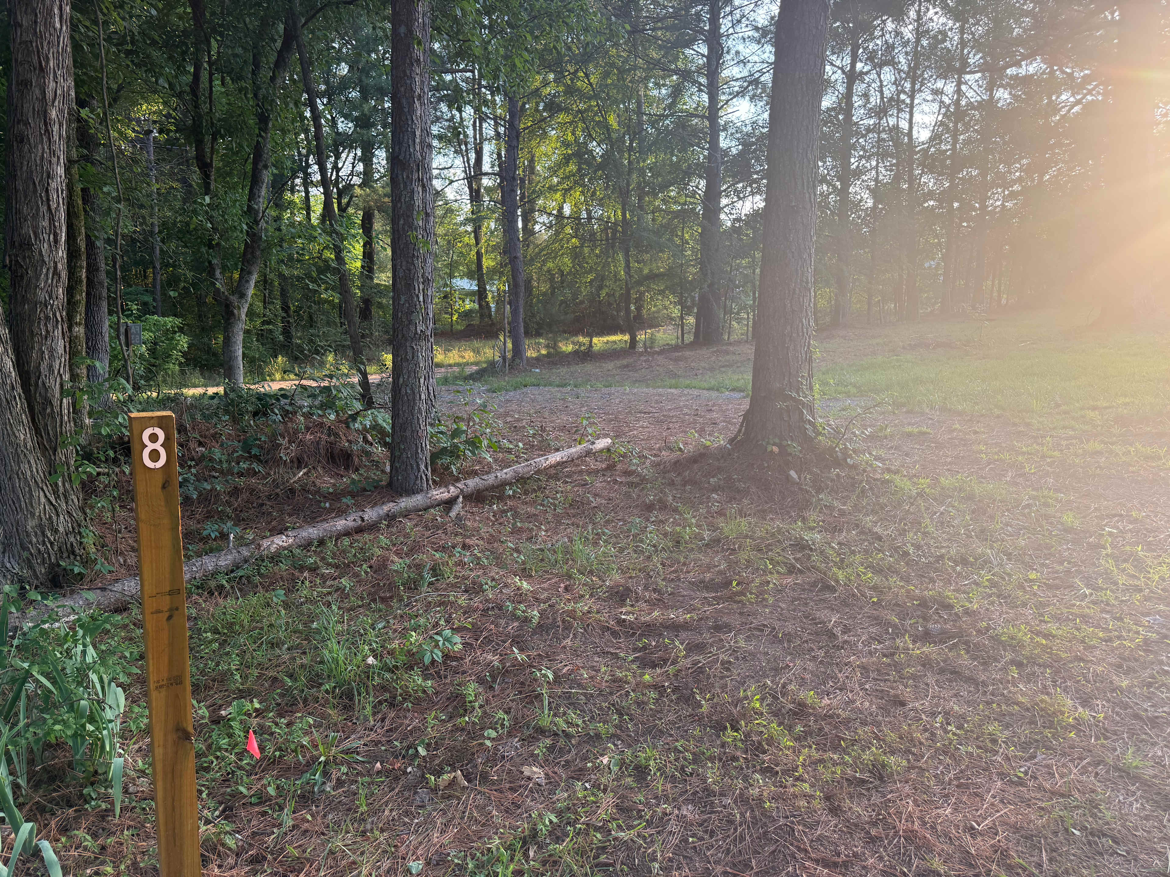 Picture of the site