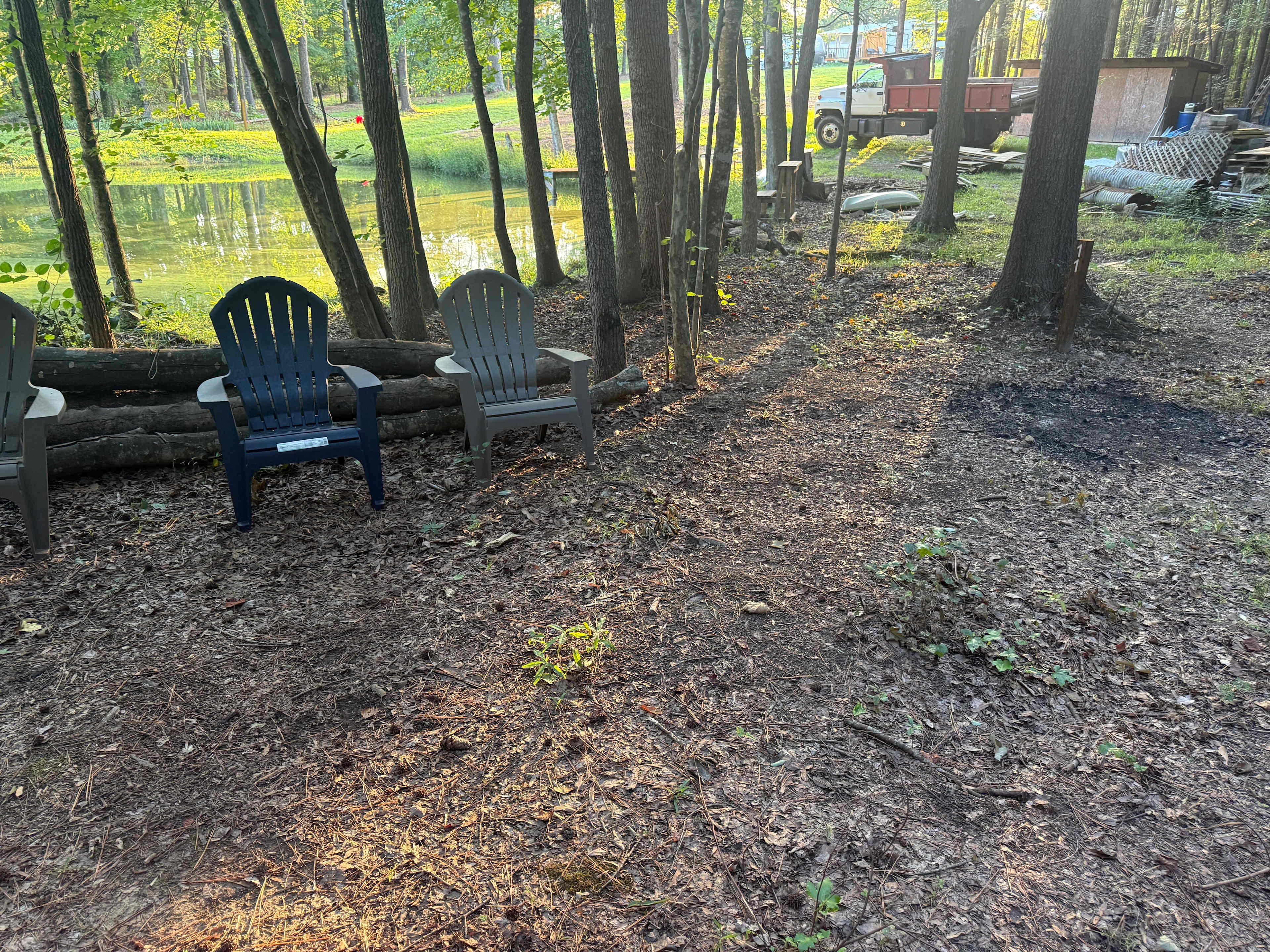 Picture of the site