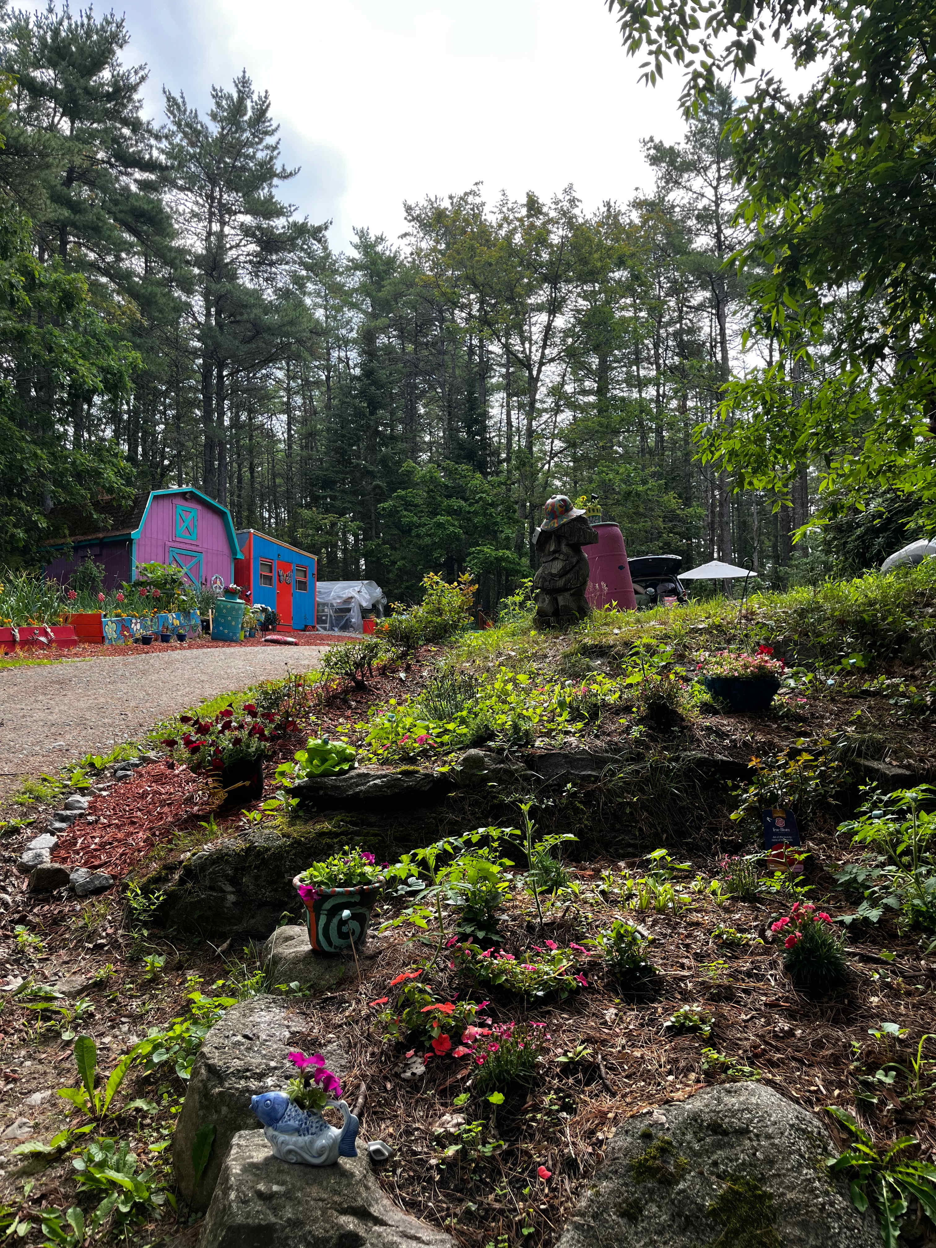 Picture of the site