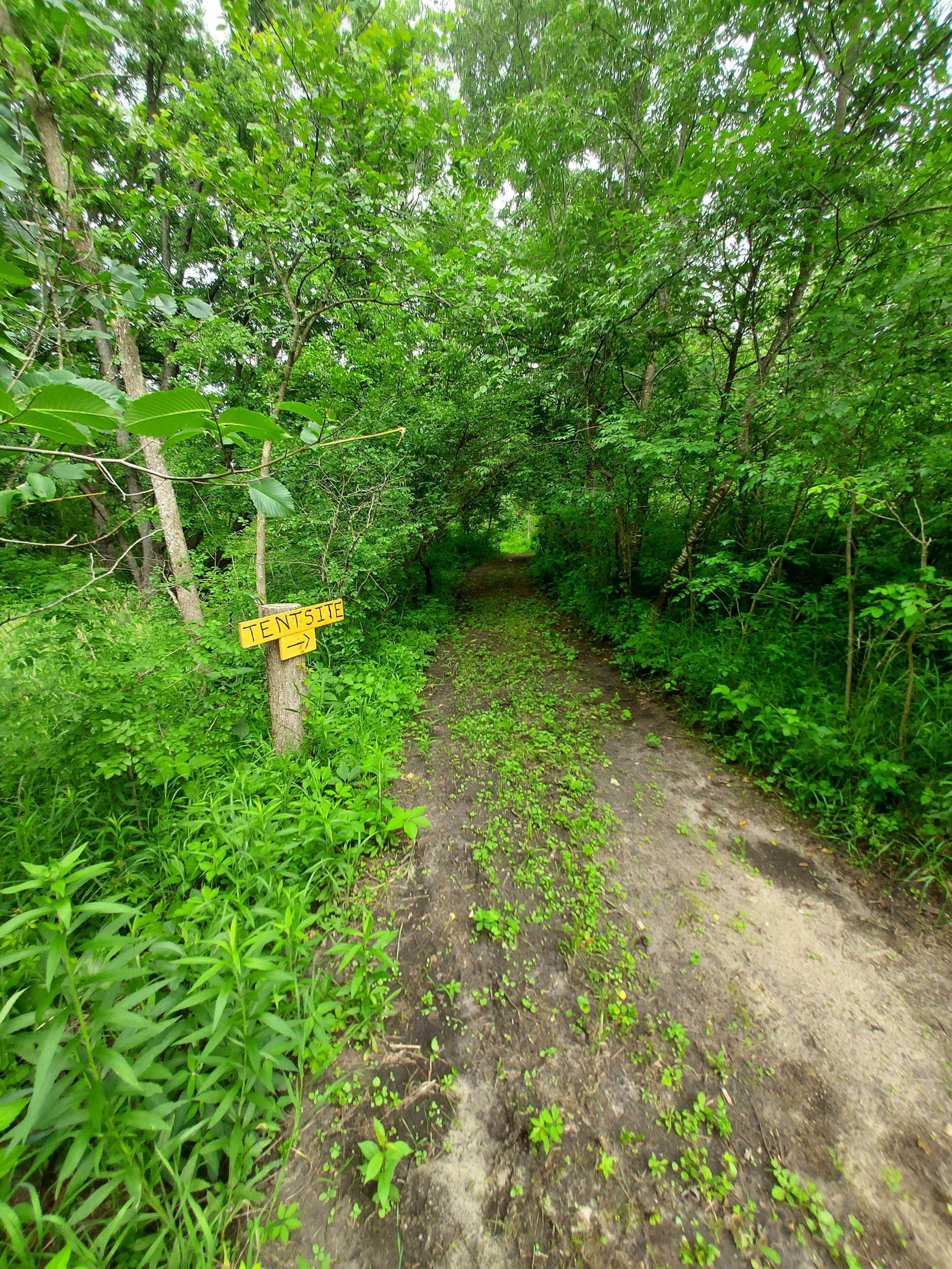 Picture of the site