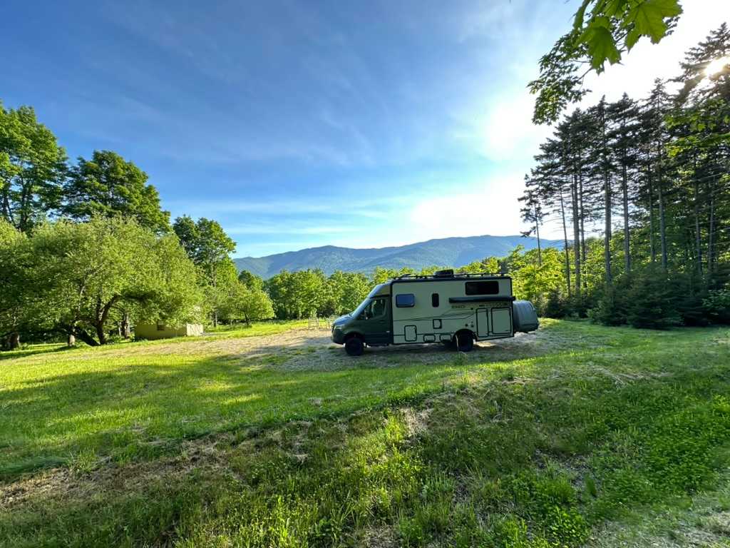 Picture of the site