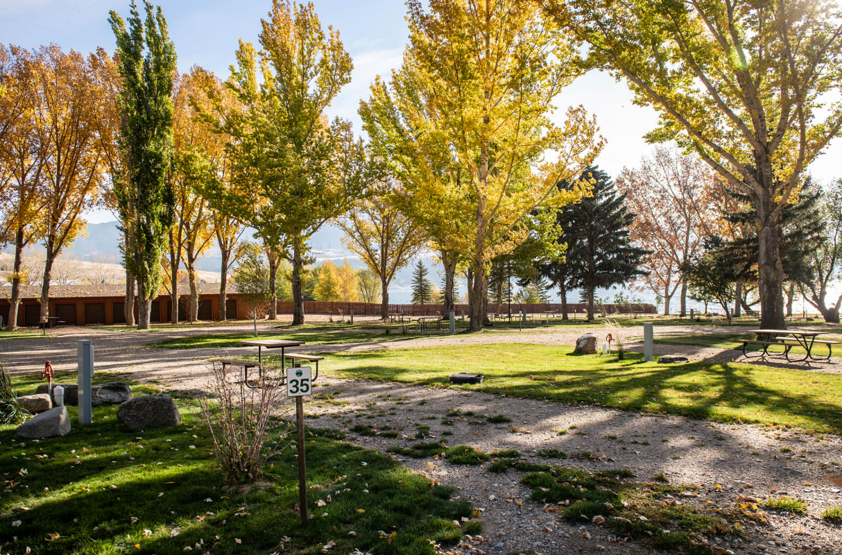 Picture of the site