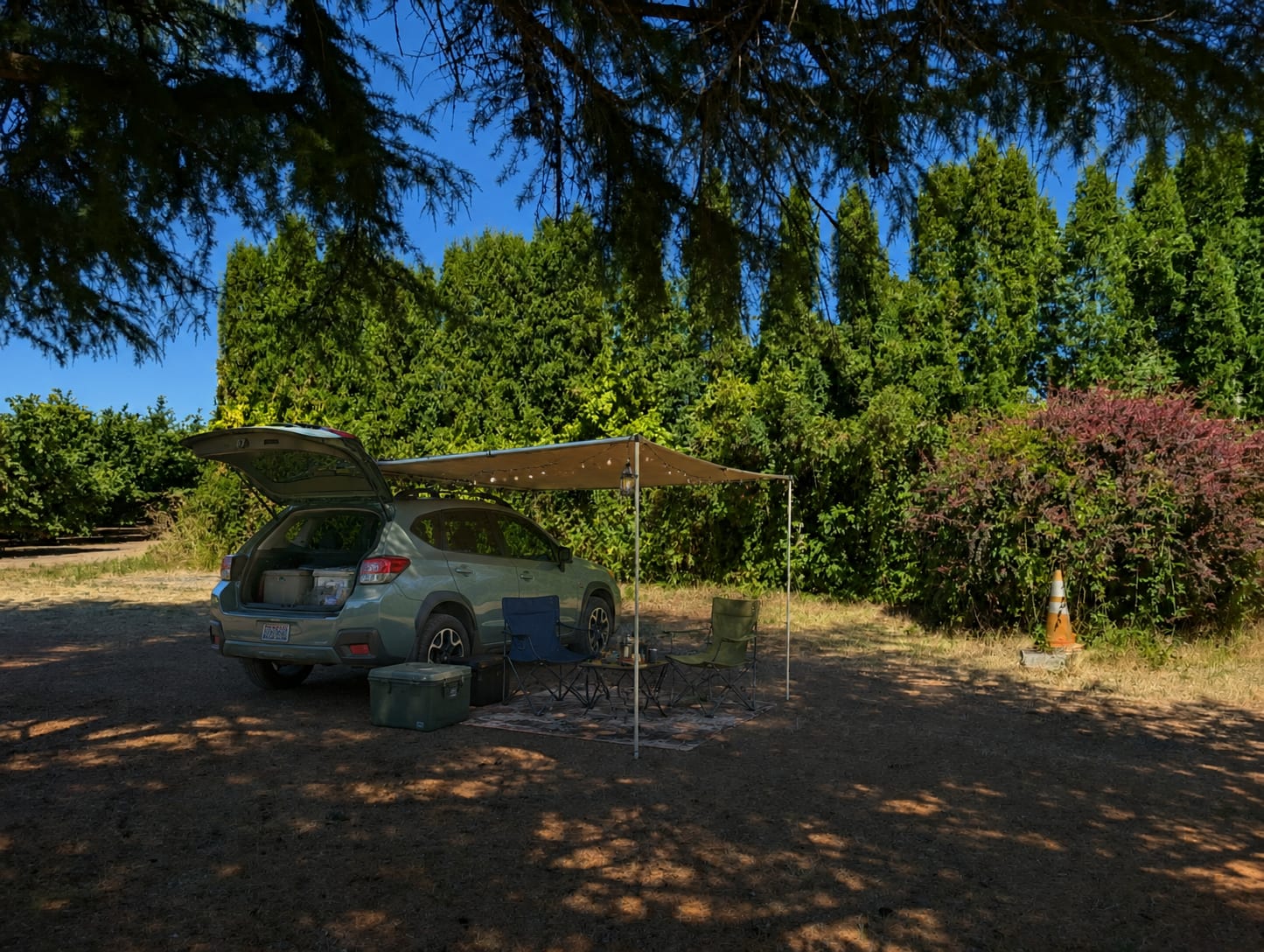 Picture of the site
