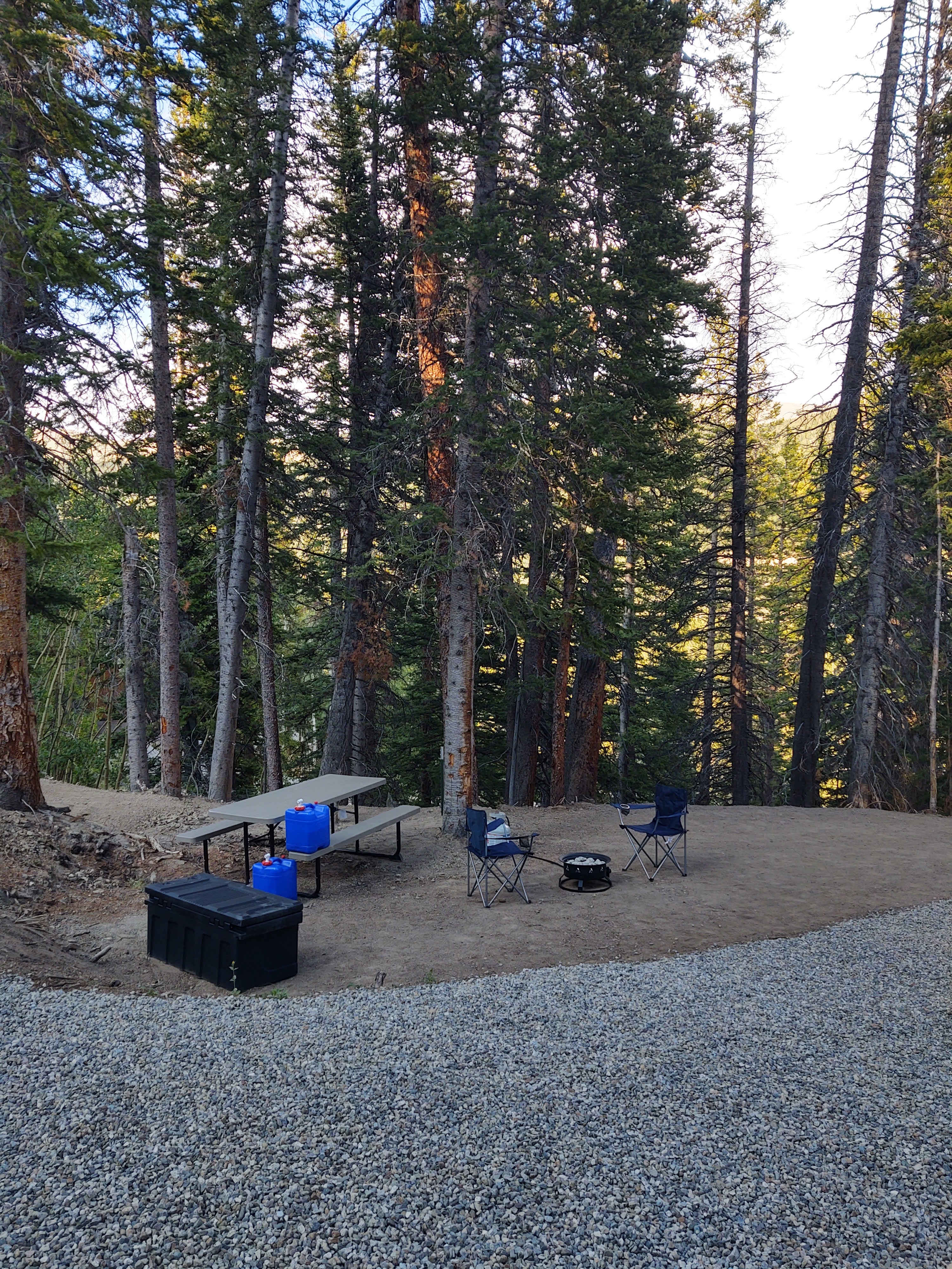 Picture of the site