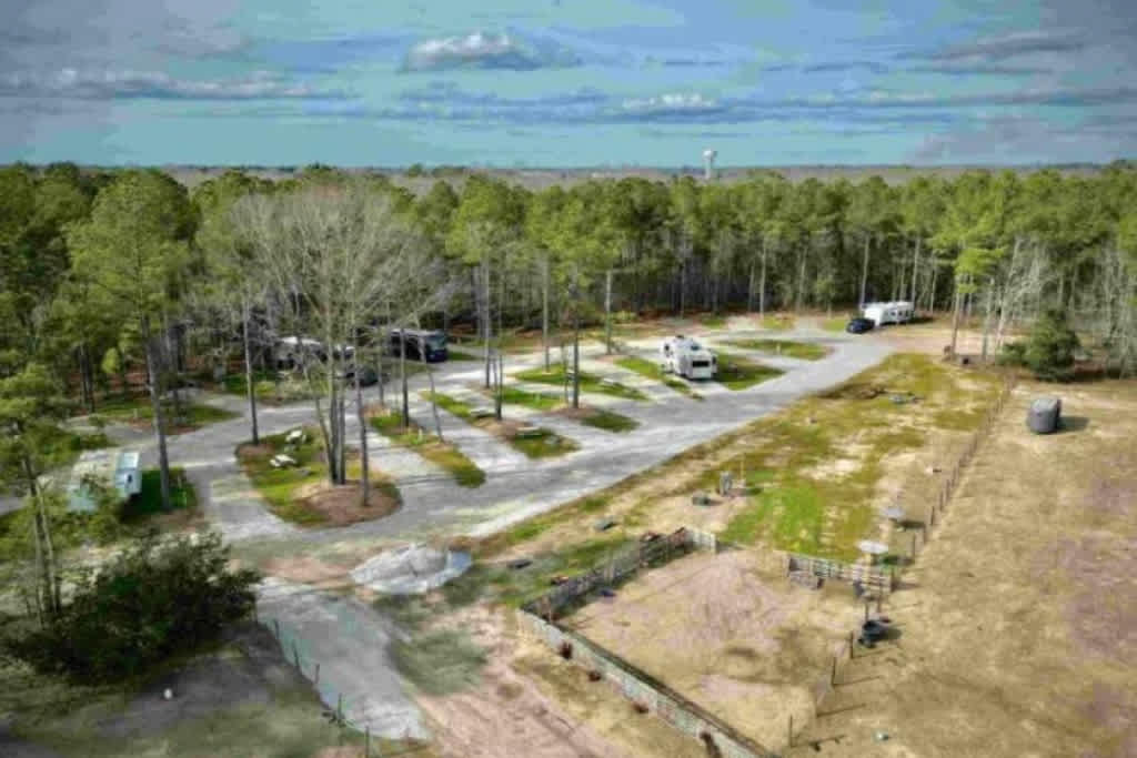 Picture of the site