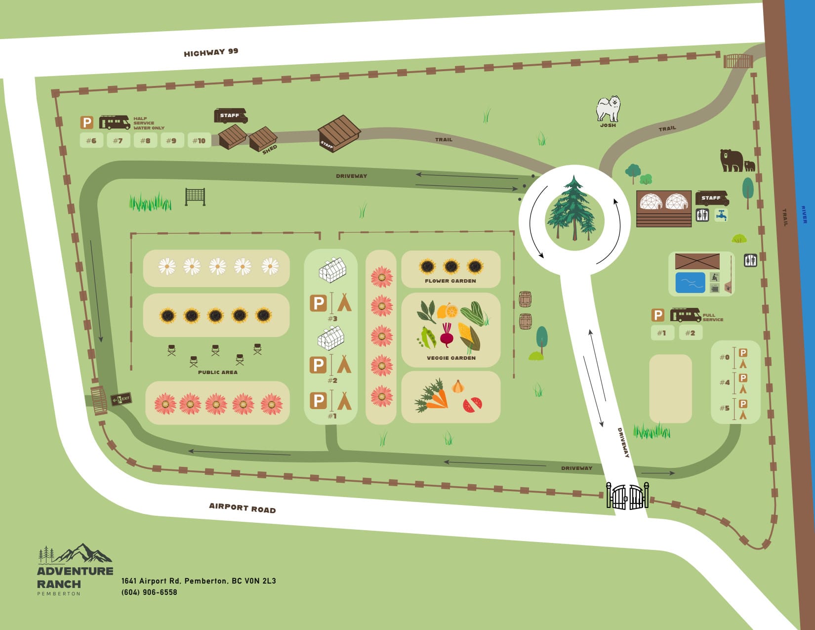 Picture of the site